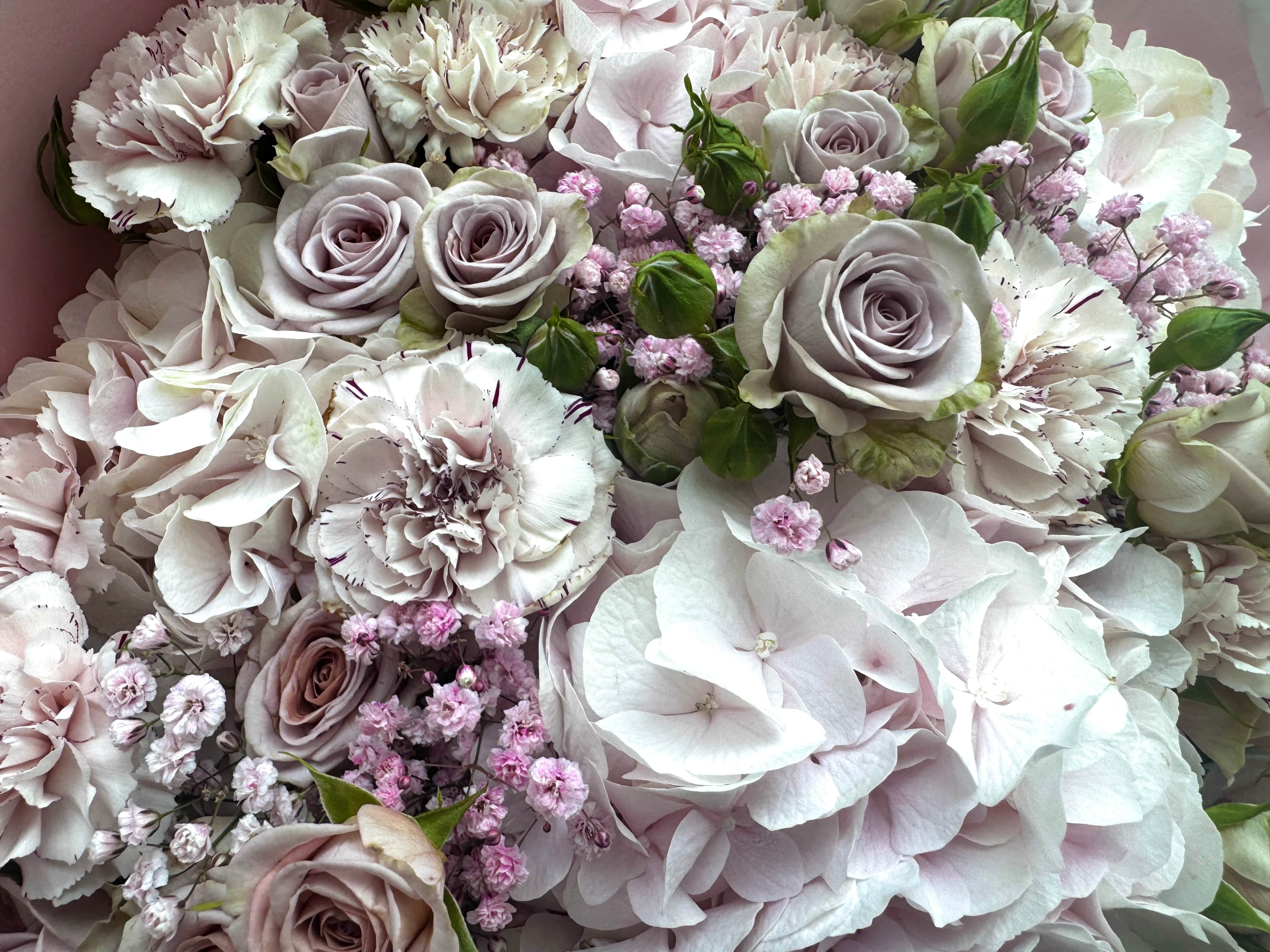 Perfect pastel - TikTok favorites
