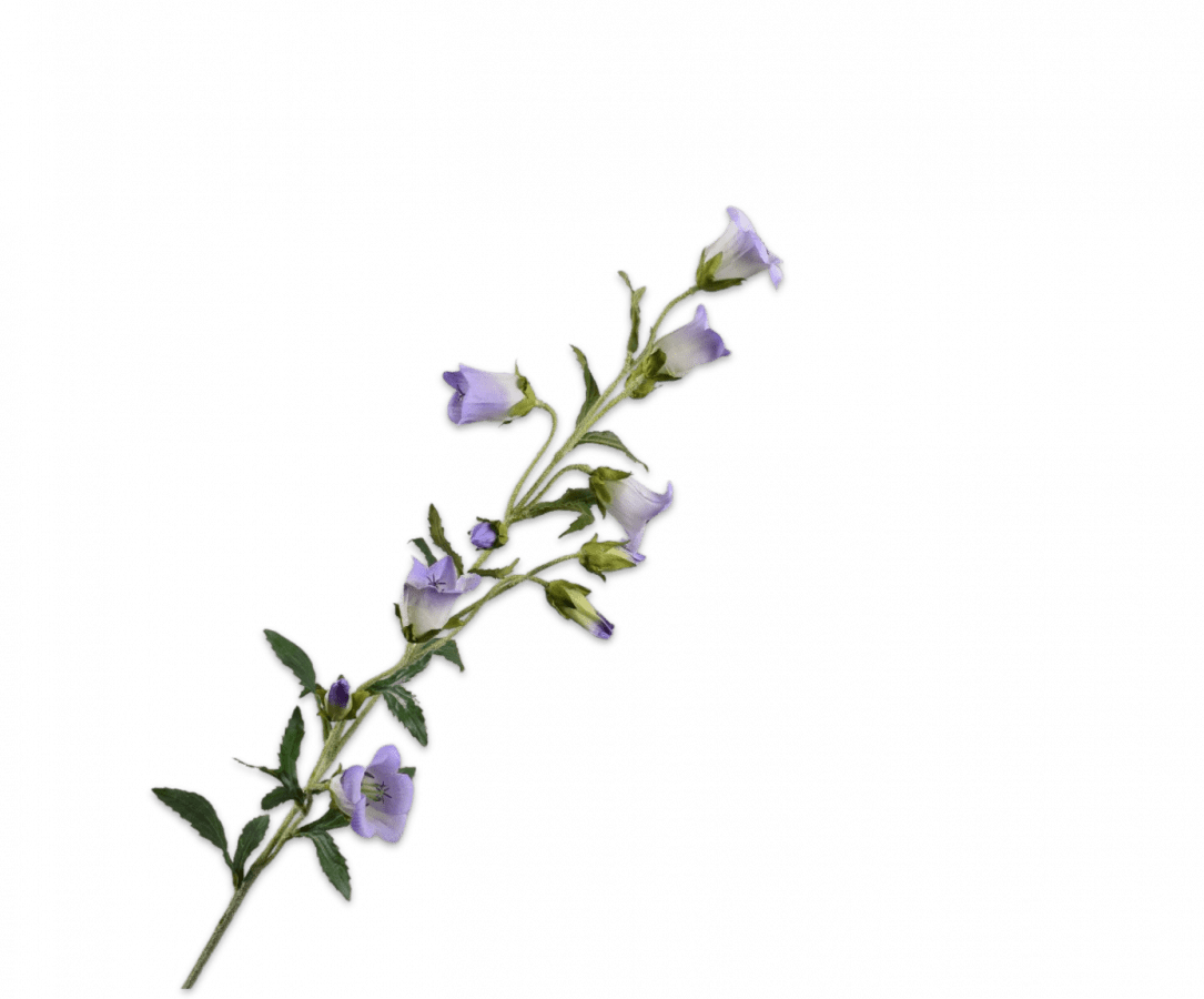 Silk Campanula Spray - Purple
