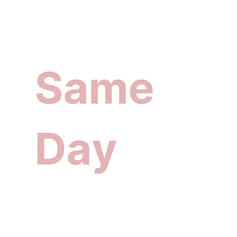 Same Day Delivery/Pick-up