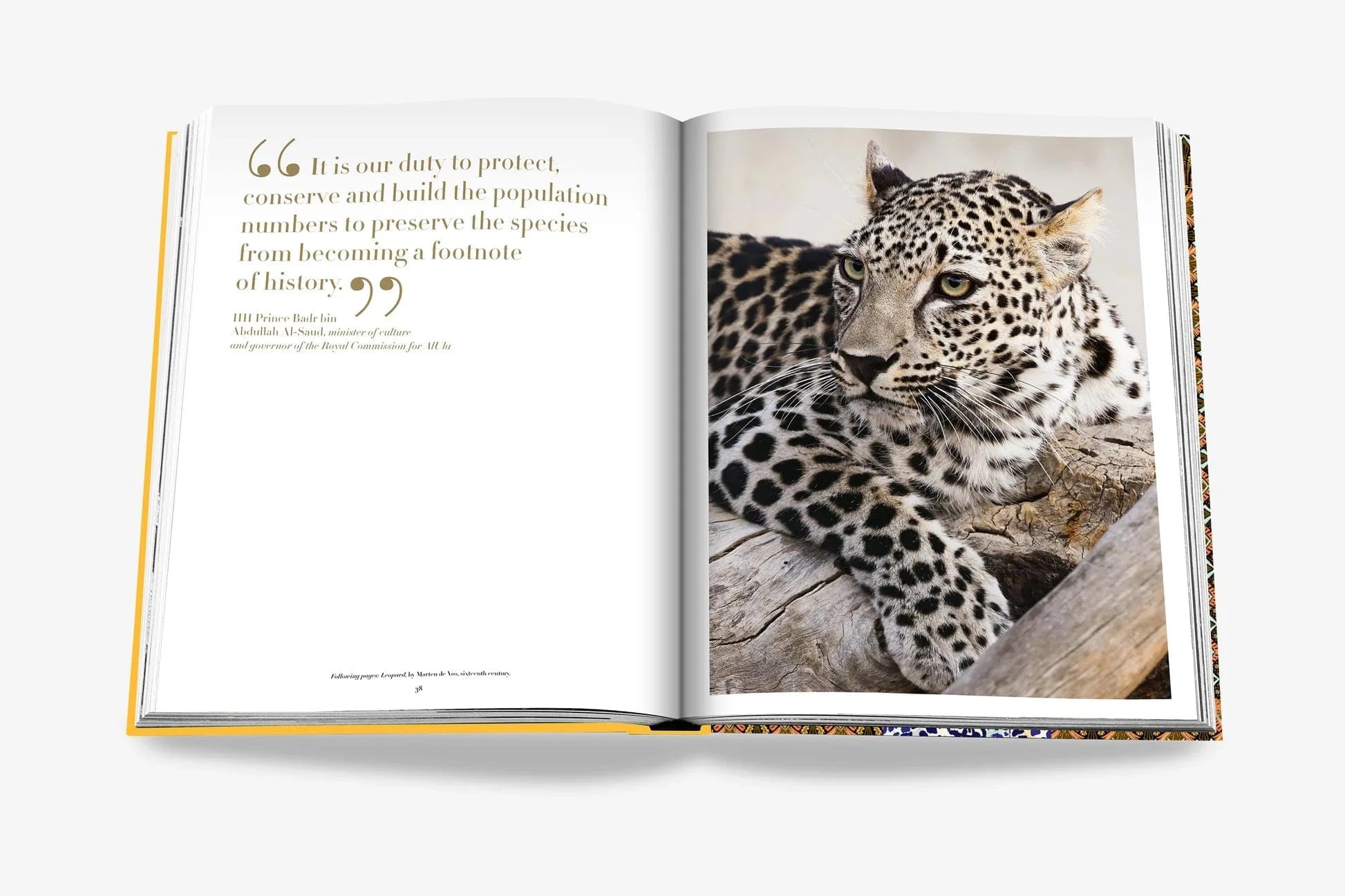 Assouline coffee table book - Arabian Leopard (Classic)