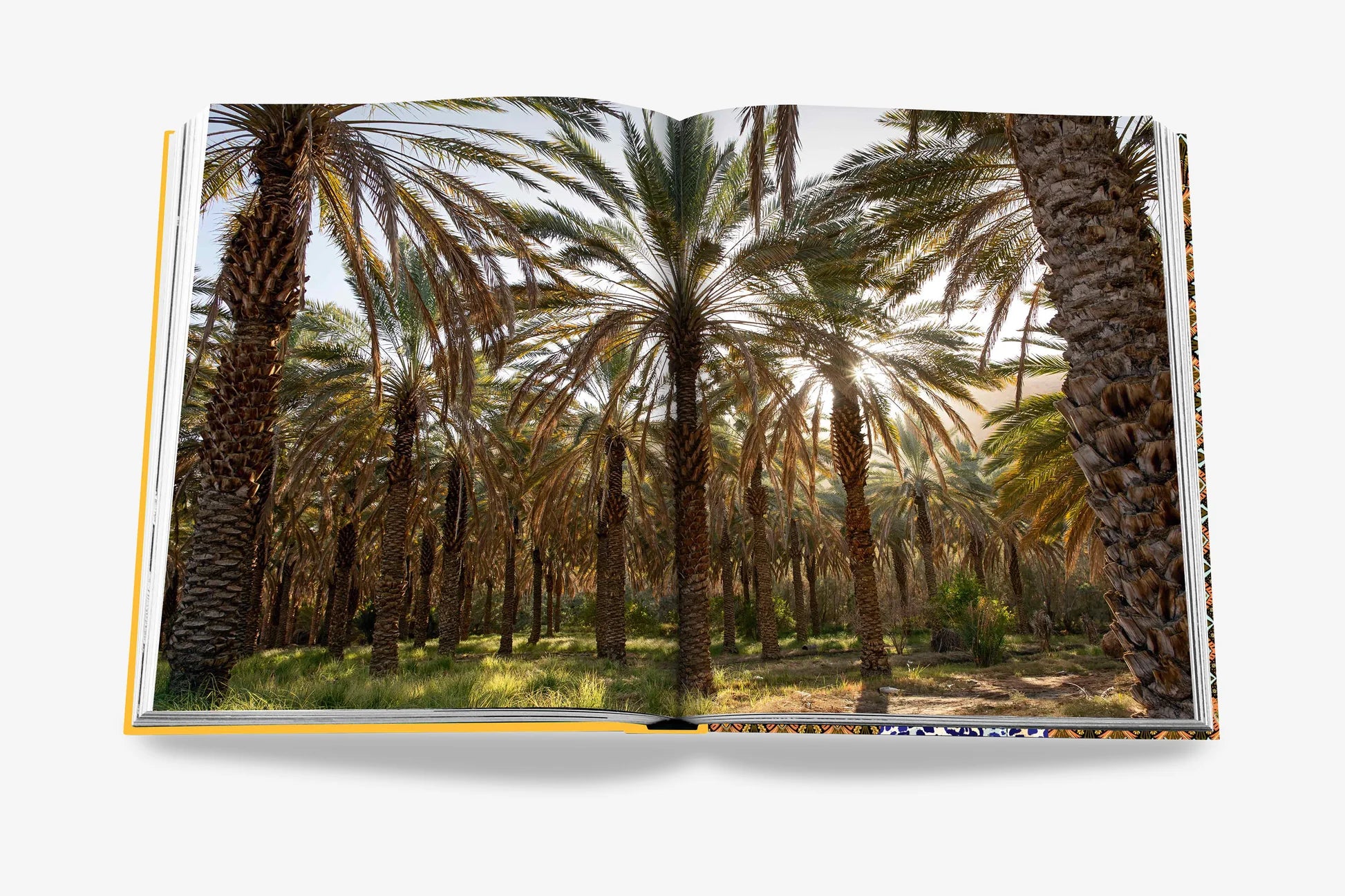 Assouline coffee table book - Arabian Leopard (Classic)