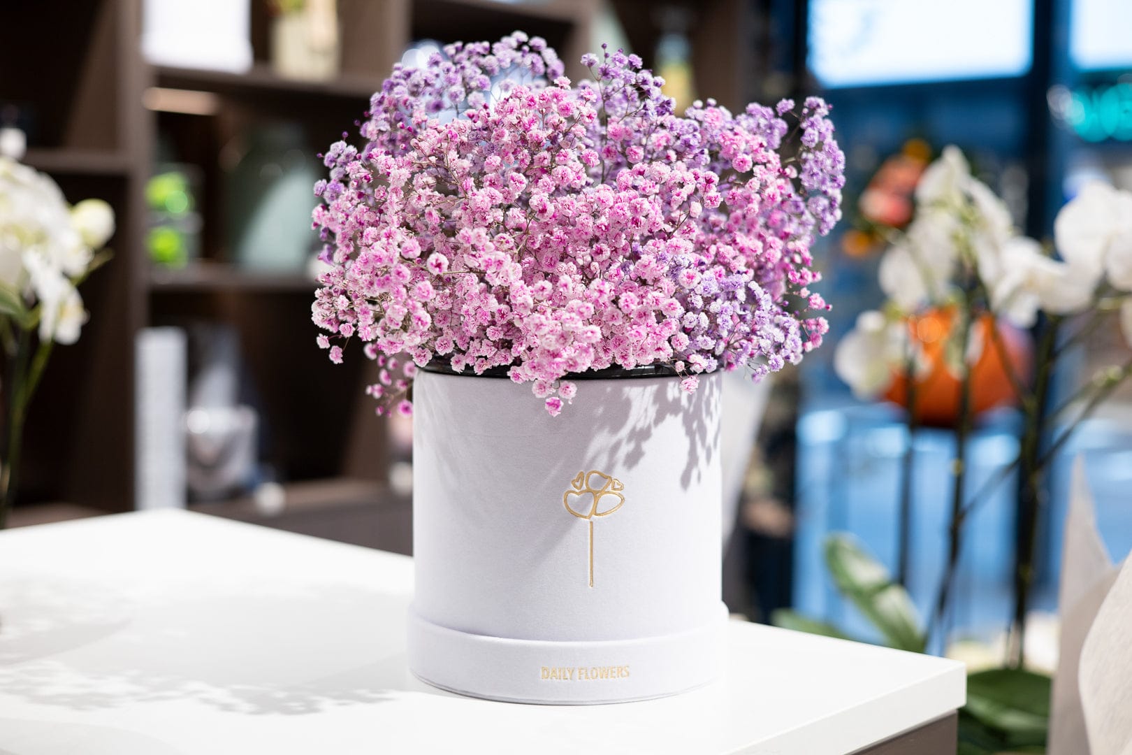 Flowers in a box - Colorful Baby's Breath