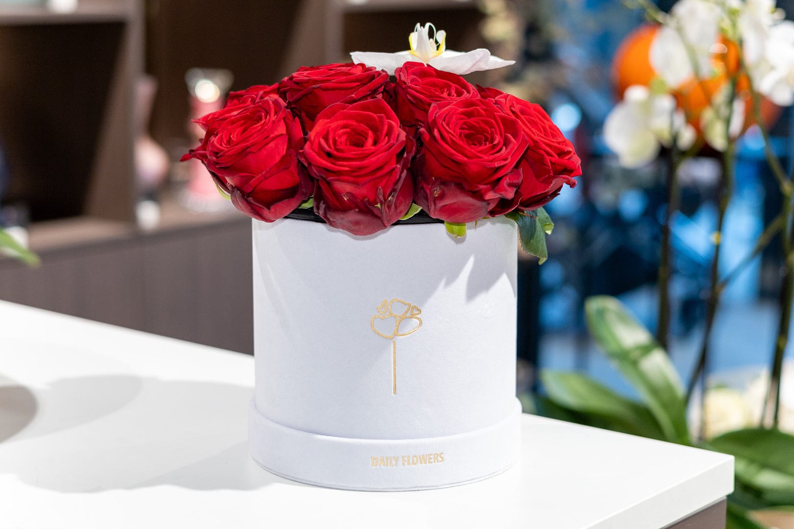Flowers in a box - Moulin Rouge