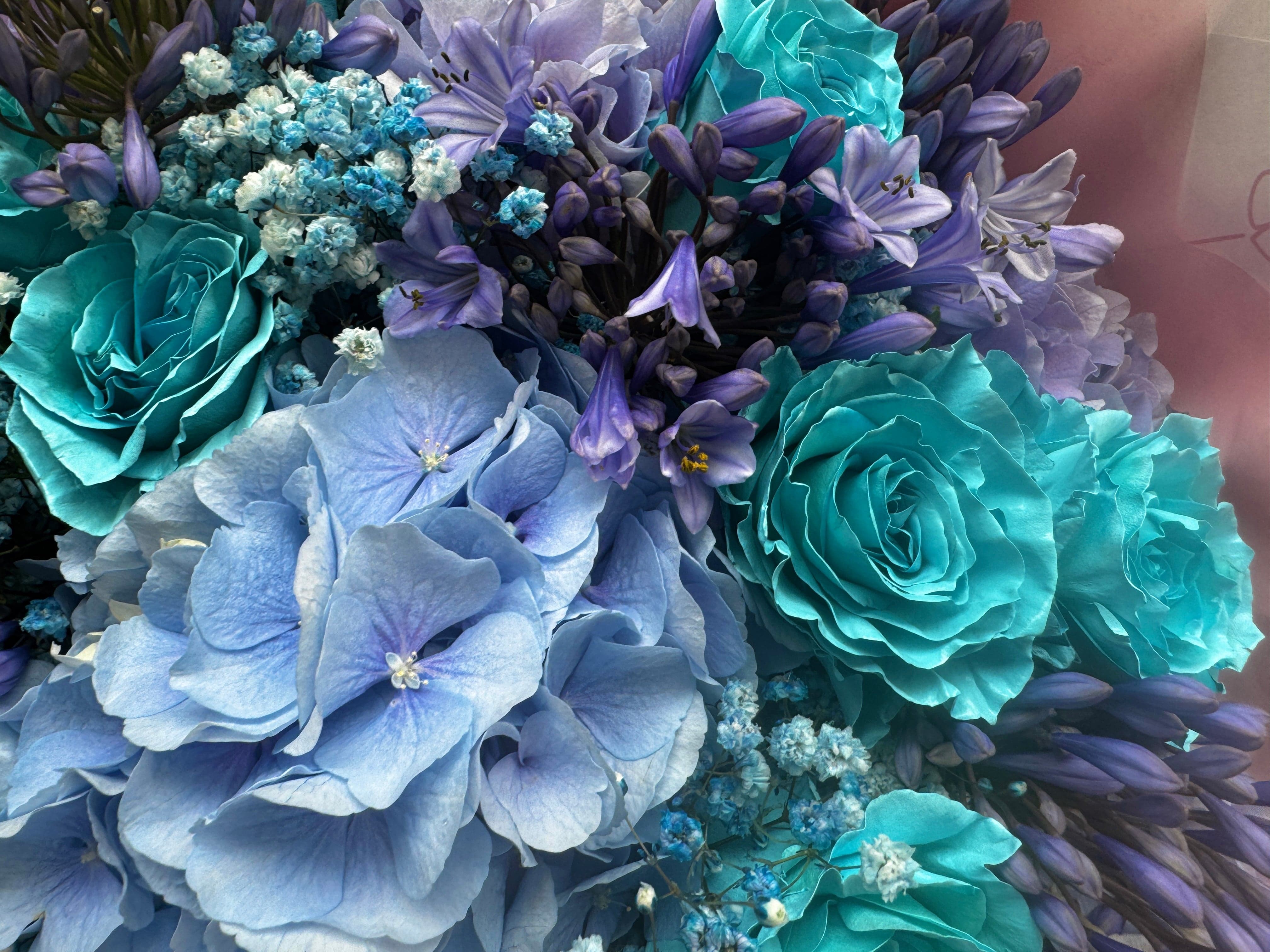 Blue Waves Wonder - TikTok Favorieten