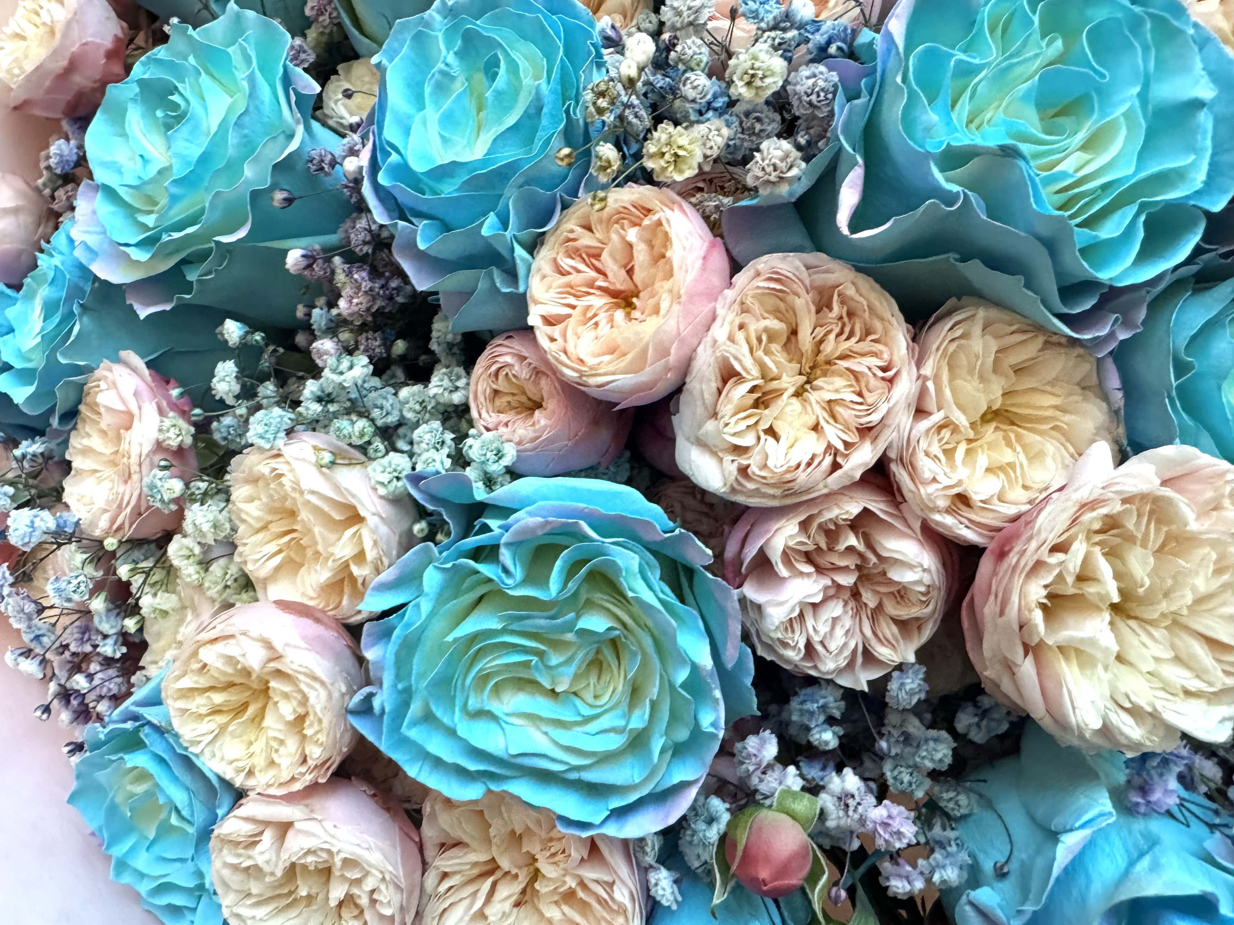 Blue Roses Dream - TikTok Favorites