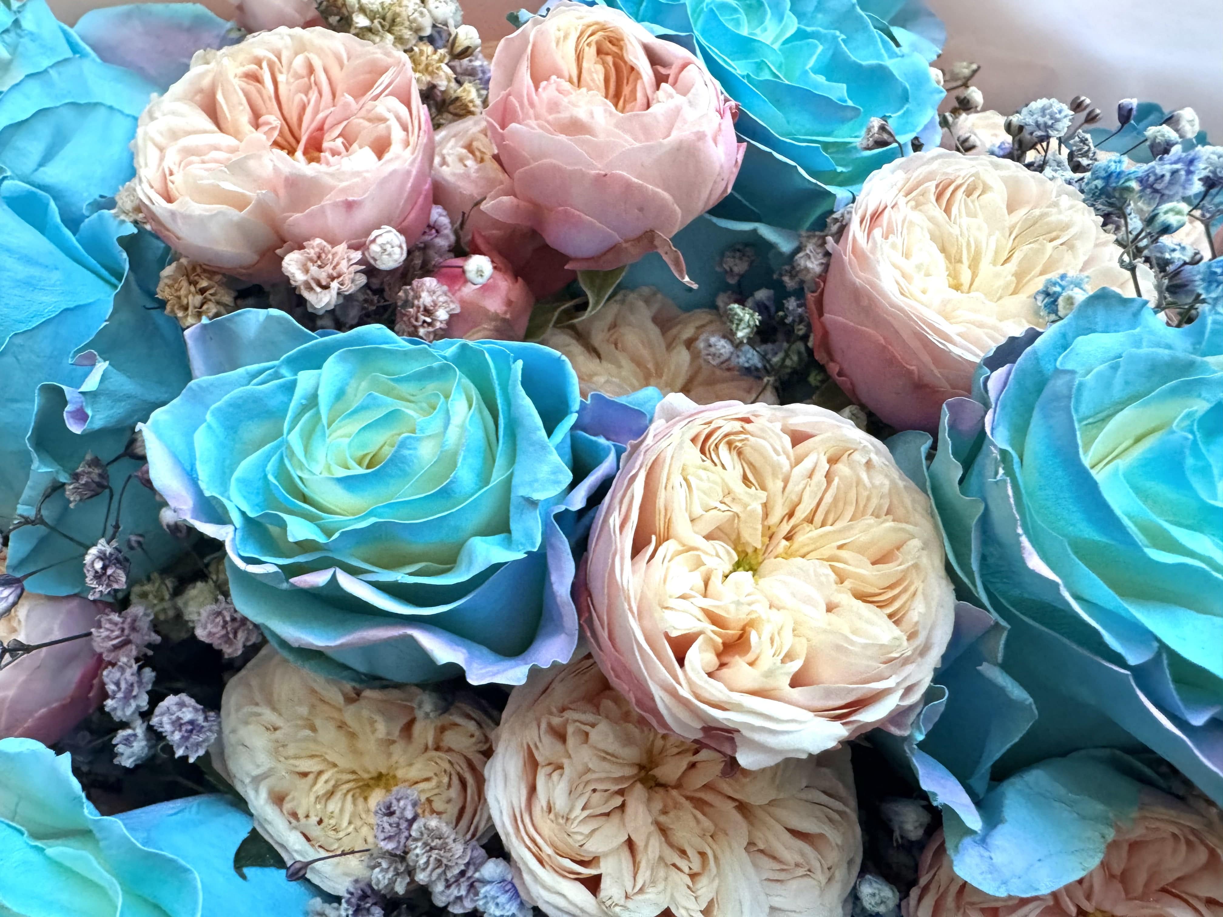Blue Roses Dream - TikTok Favorites