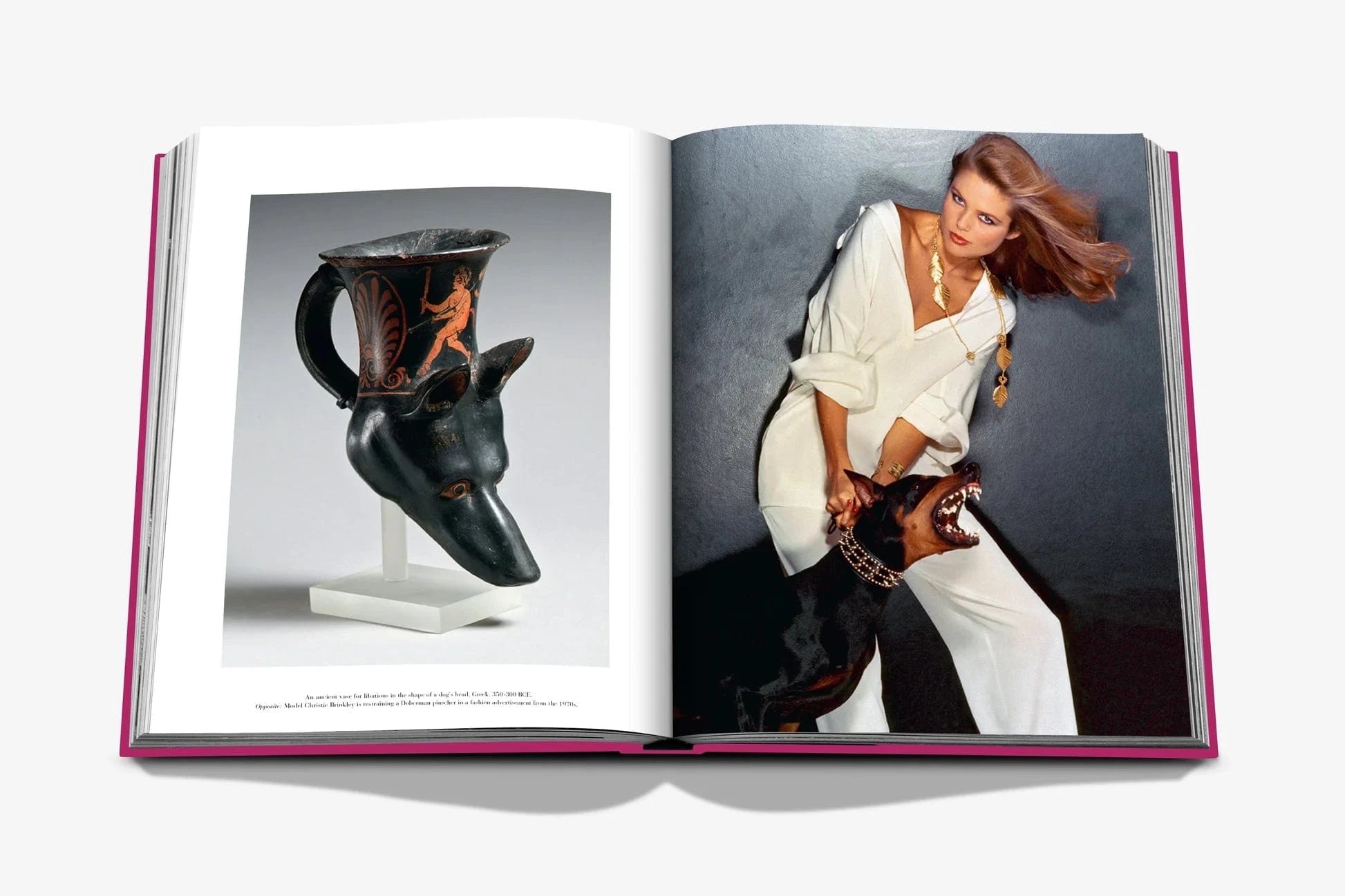 Assouline koffietafelboek - Chic Dogs