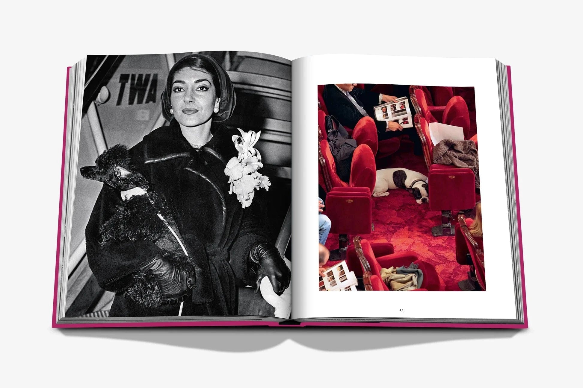 Assouline koffietafelboek - Chic Dogs