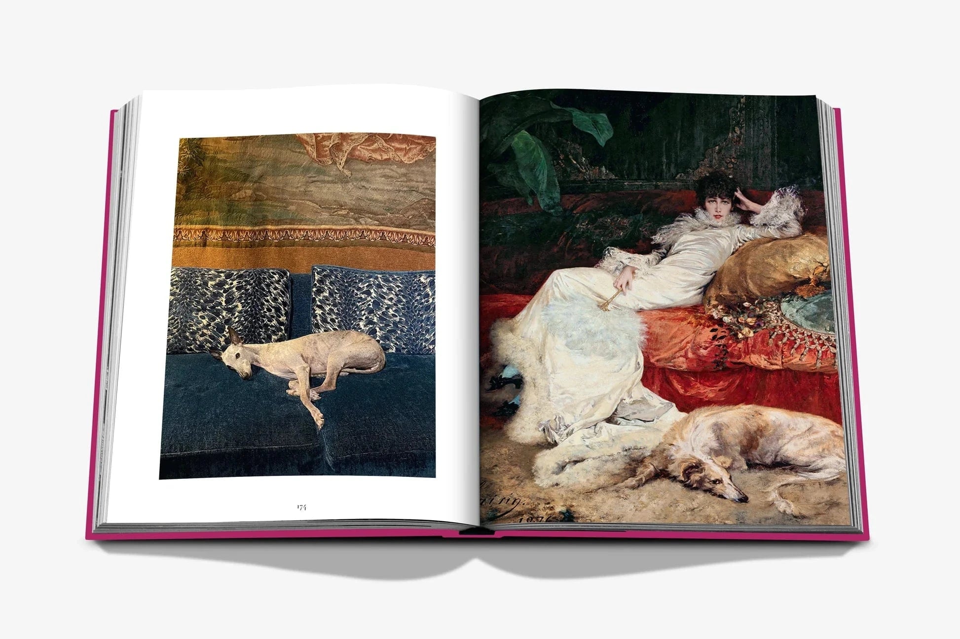 Assouline koffietafelboek - Chic Dogs