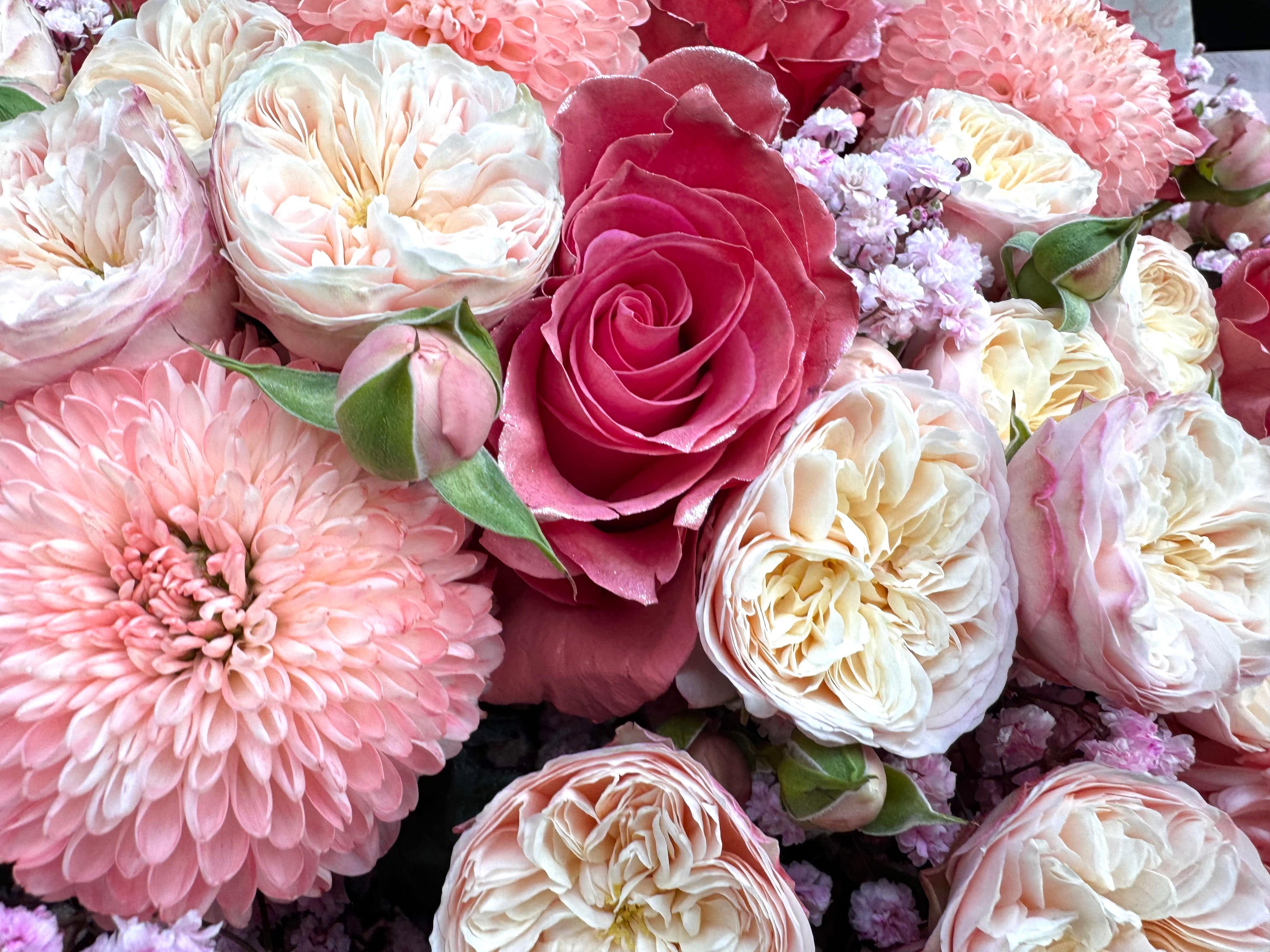 Cherry Blossom Chic - Tiktok Favorites