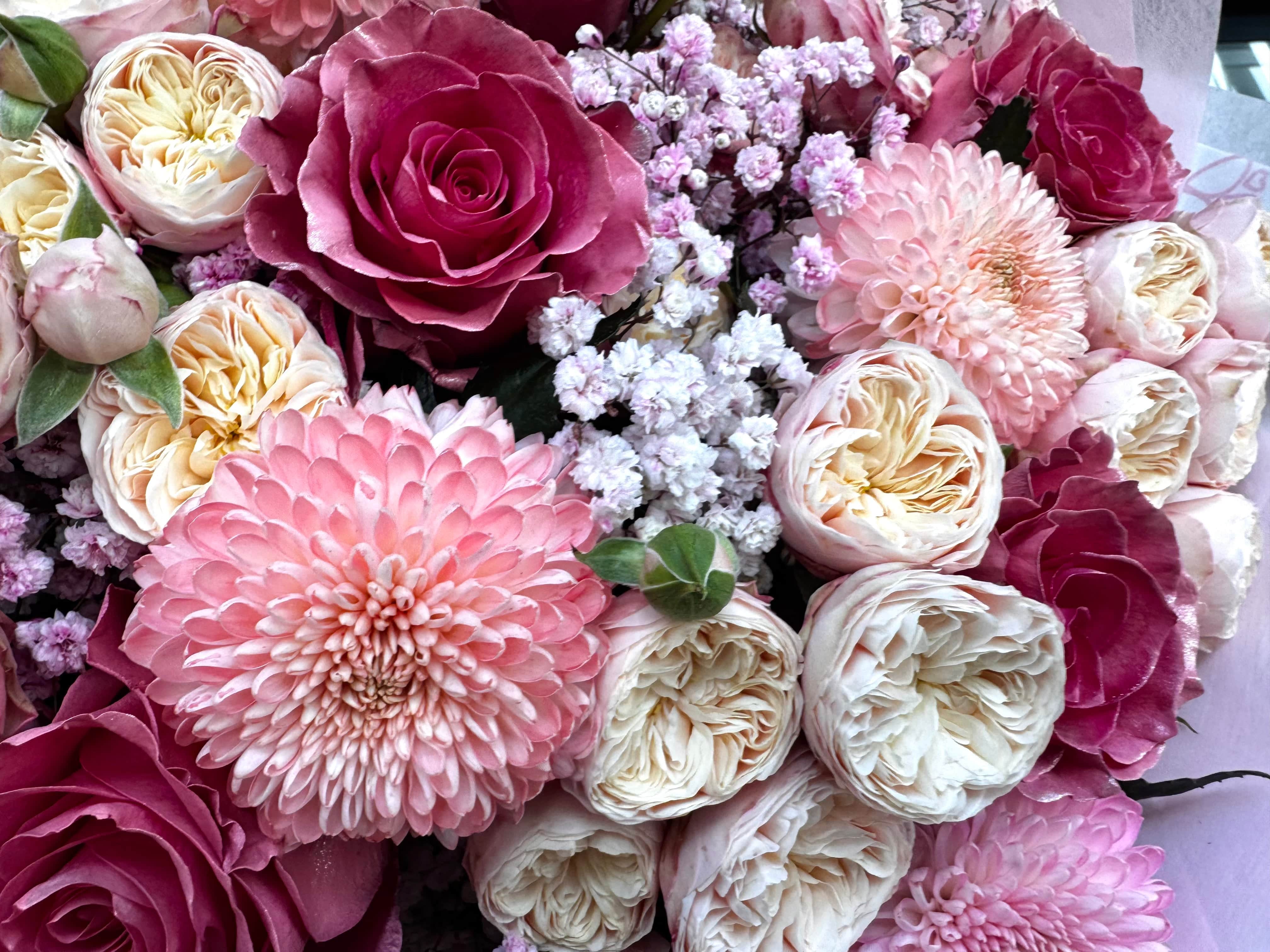 Cherry Blossom Chic - Tiktok Favorites