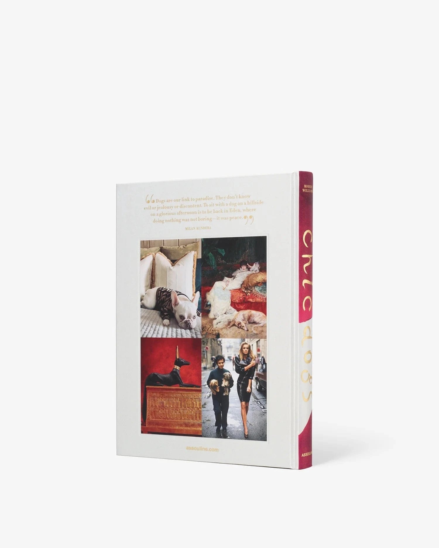 Assouline koffietafelboek - Chic Dogs