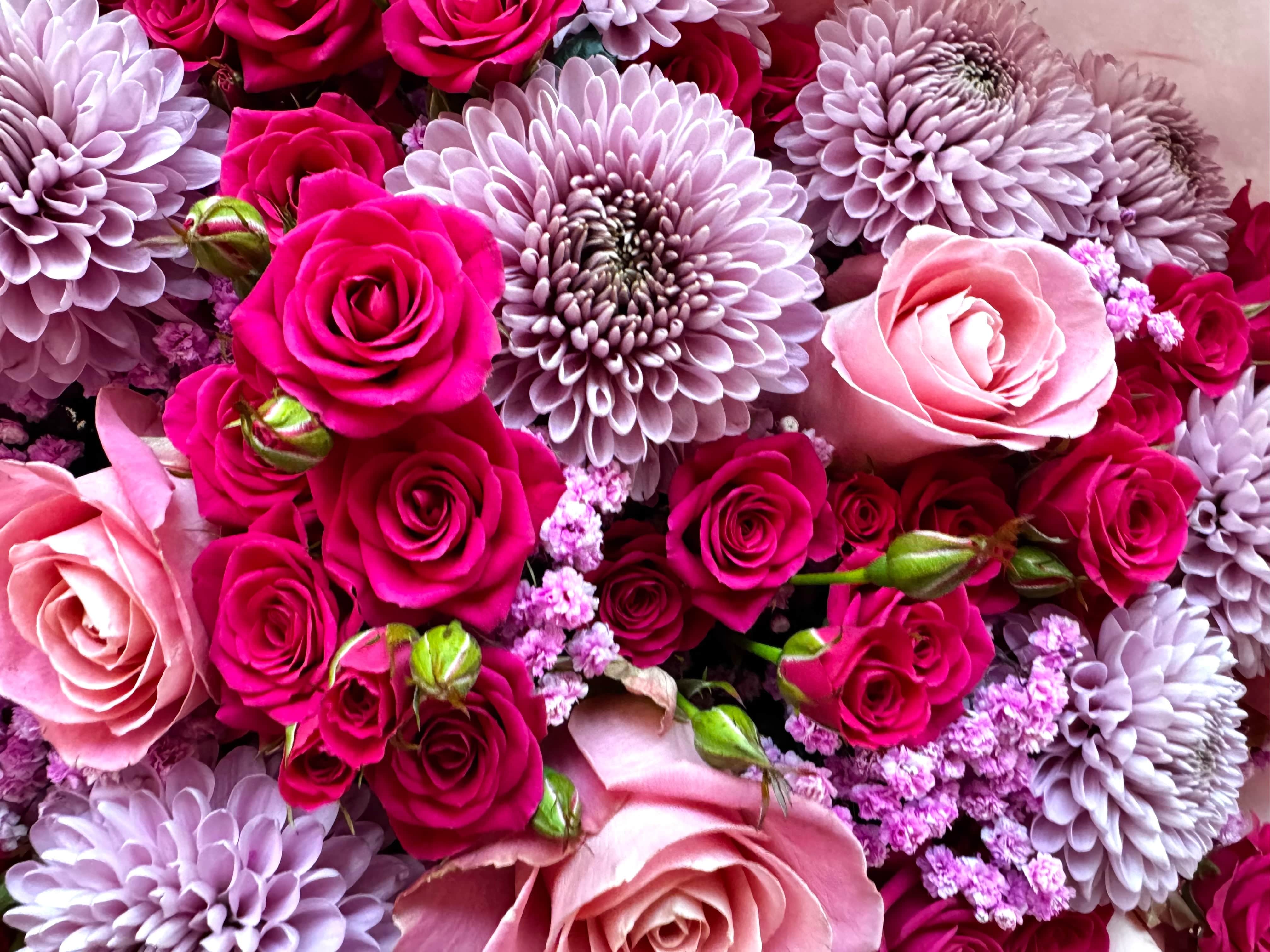 Chic Pink Princess - TikTok Favorites