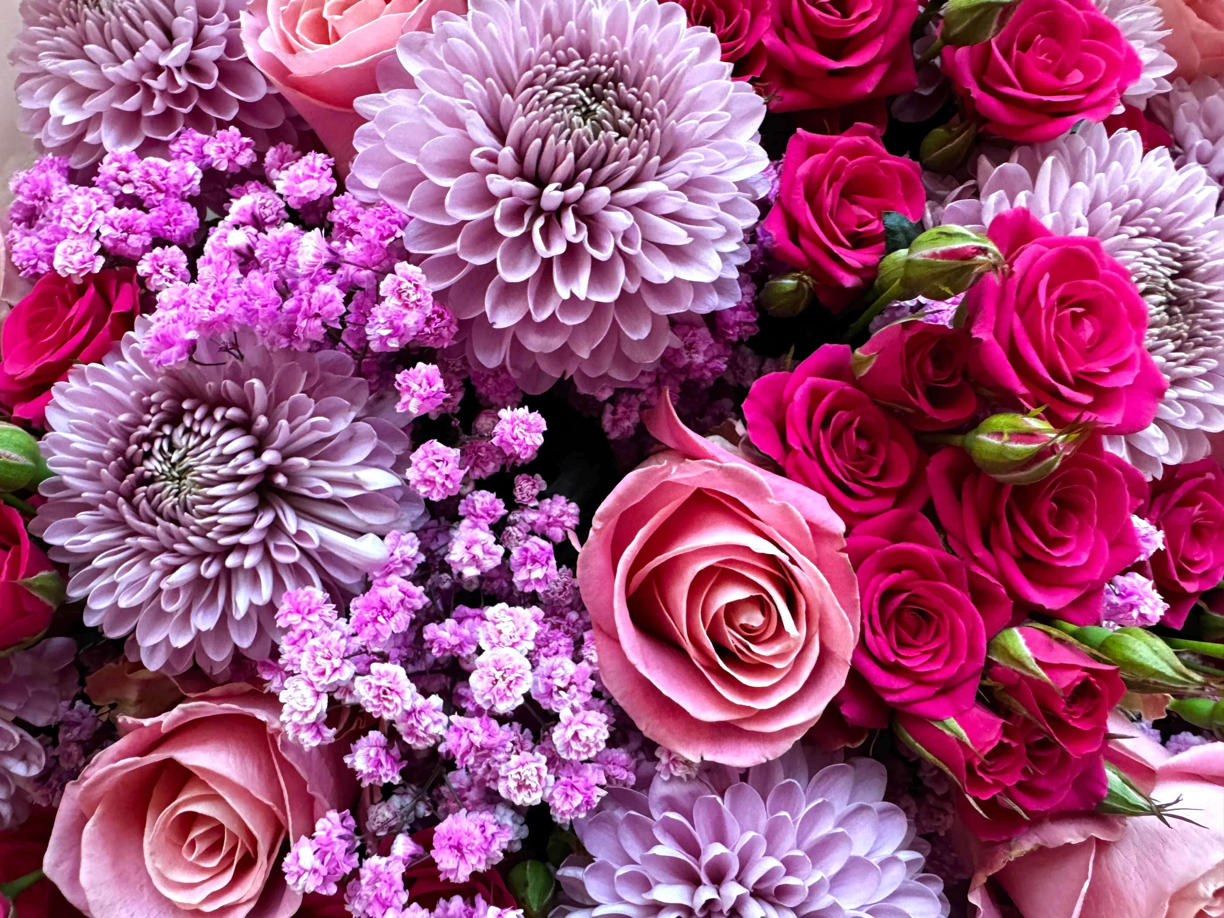 Chic Pink Princess - TikTok Favorites