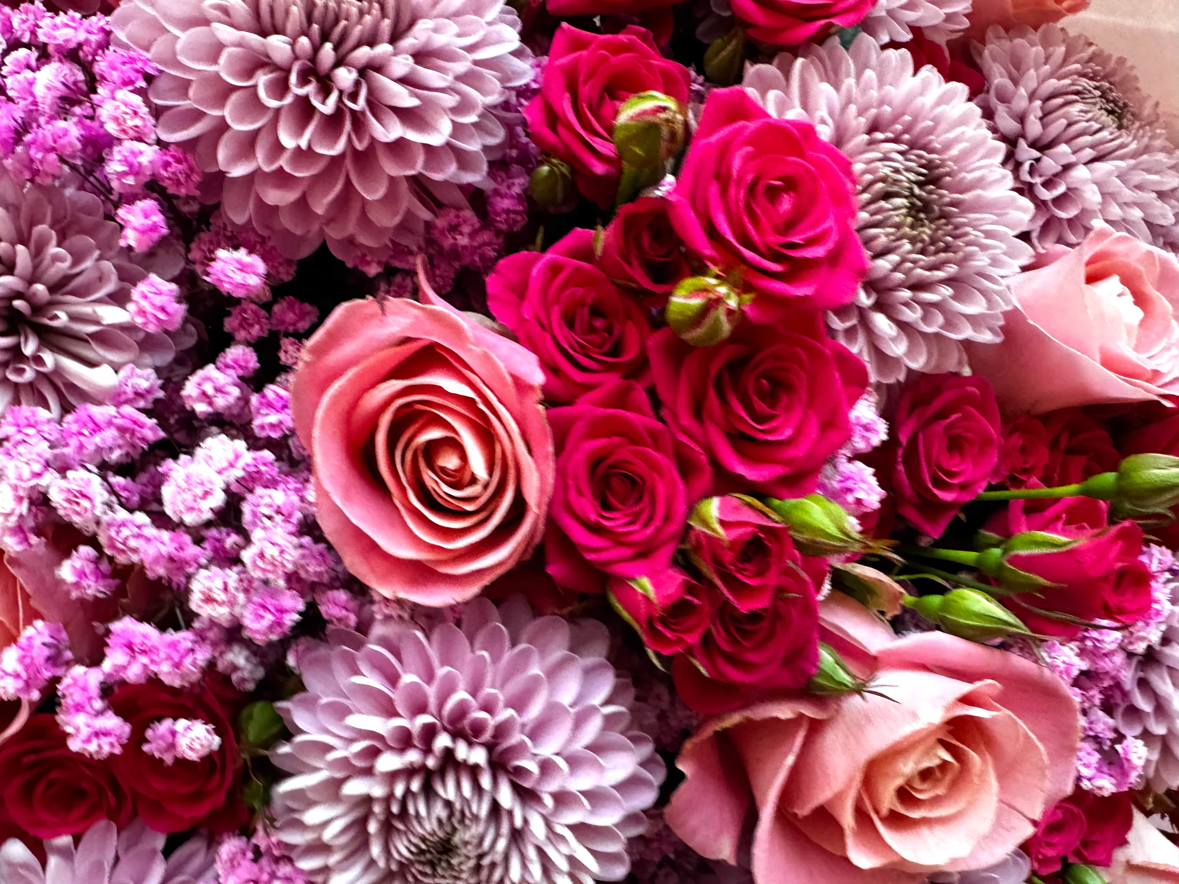 Chic Pink Princess - TikTok Favorites