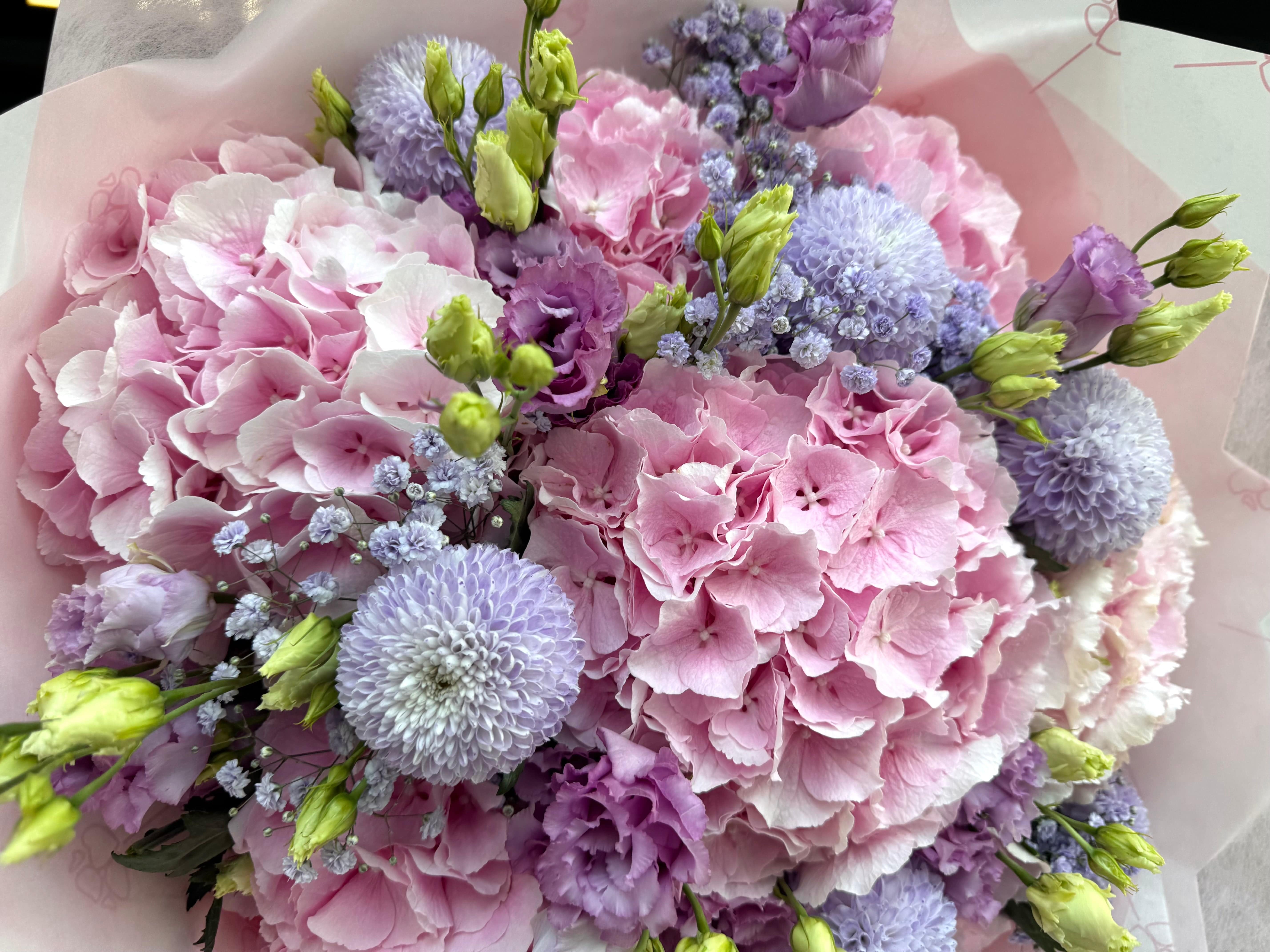 Dreamy Girl Fairytale - TikTok Favorites