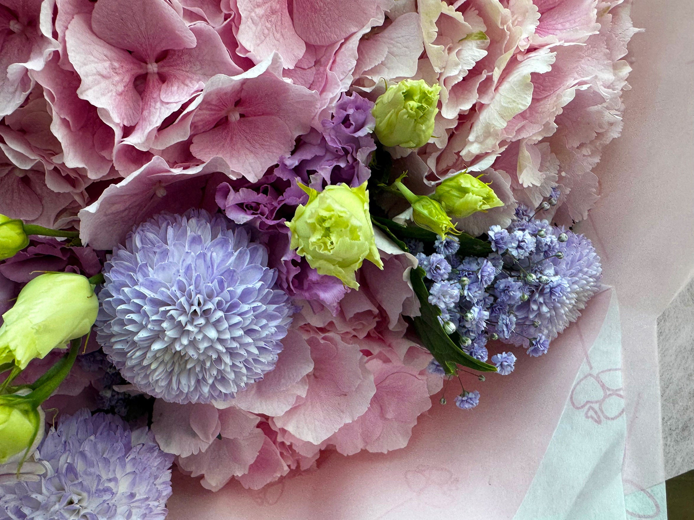 Dreamy Girl Fairytale - TikTok Favorites