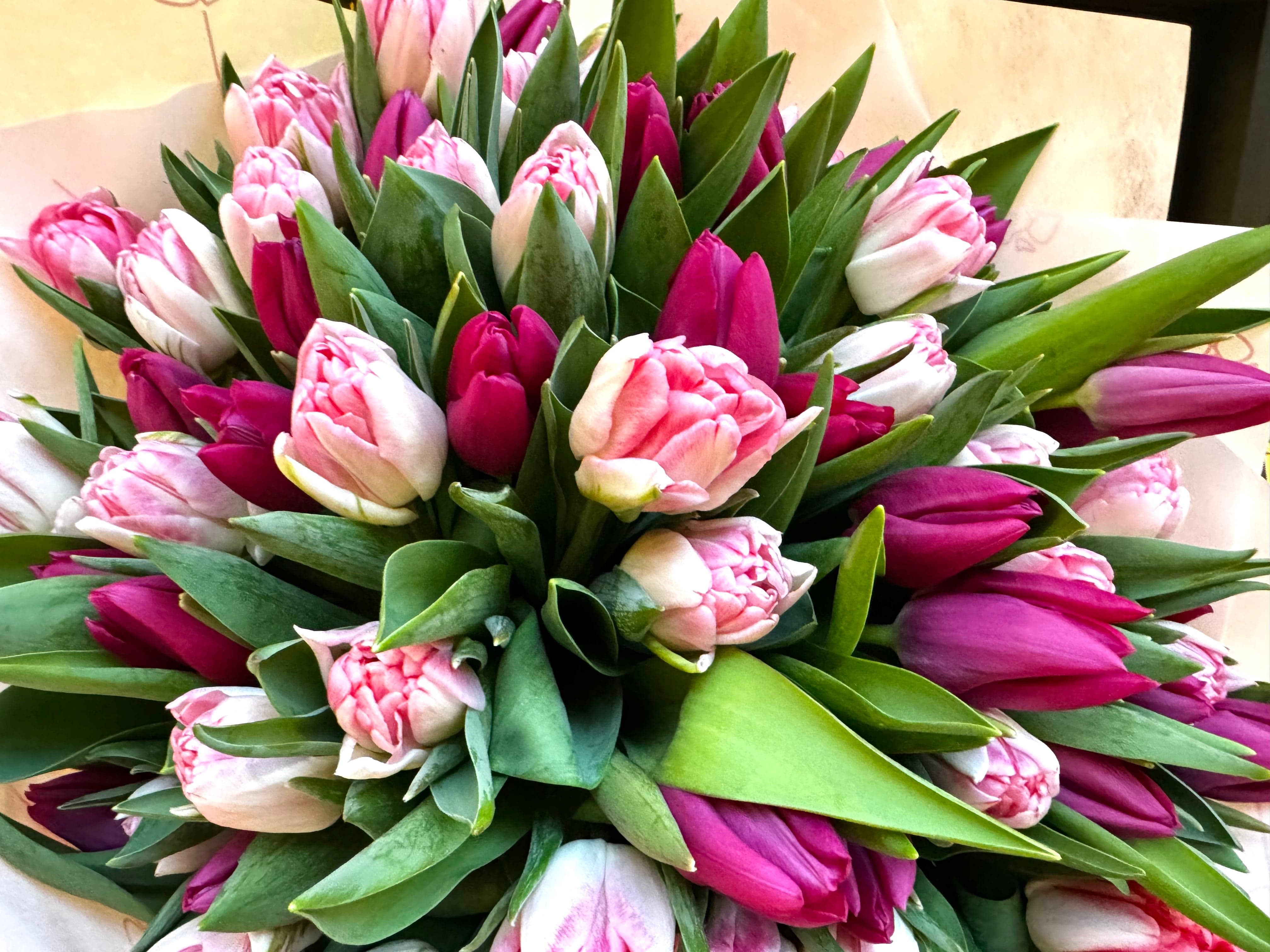Choose your amount - Dutch tulips