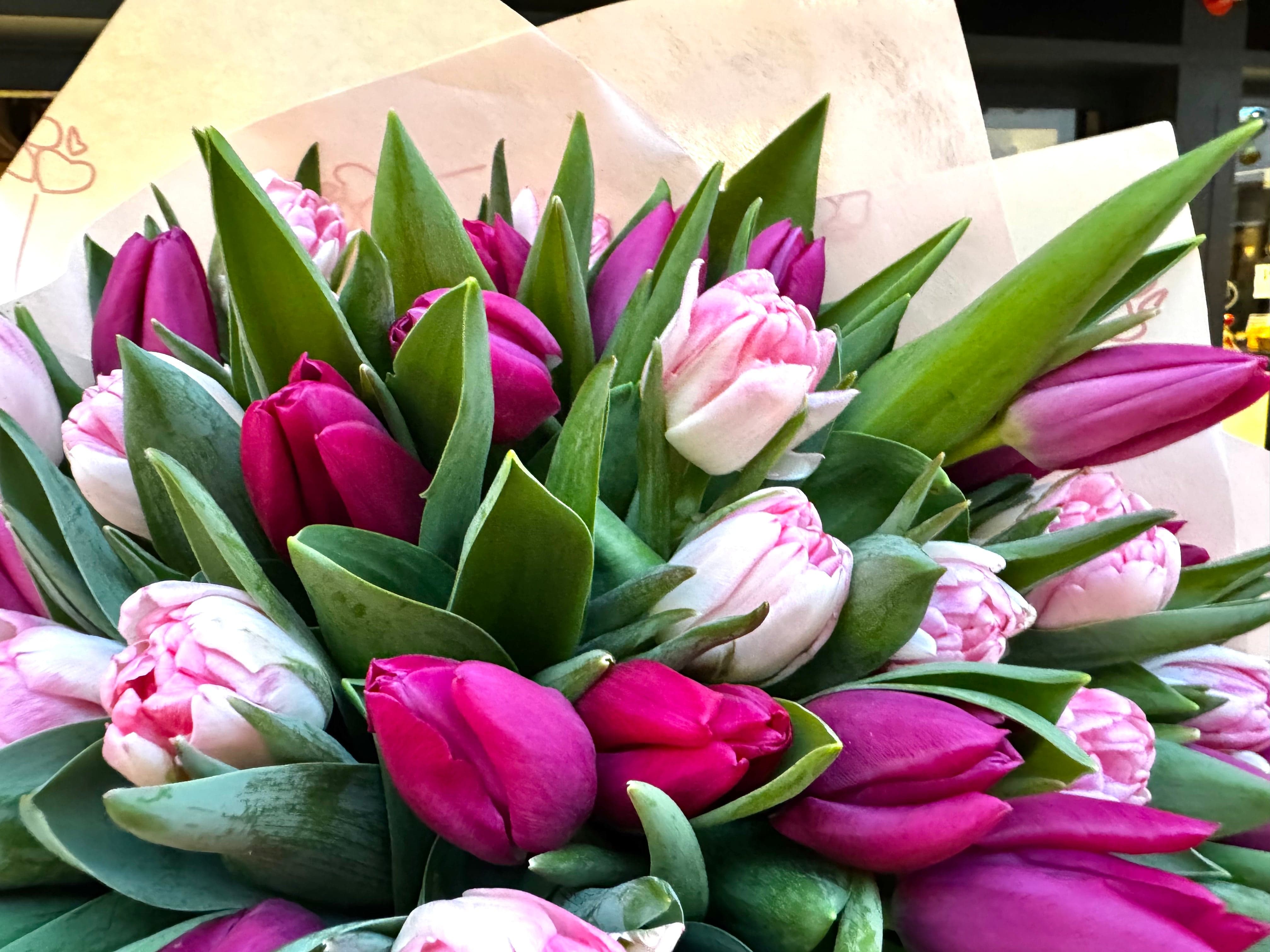 Choose your amount - Dutch tulips