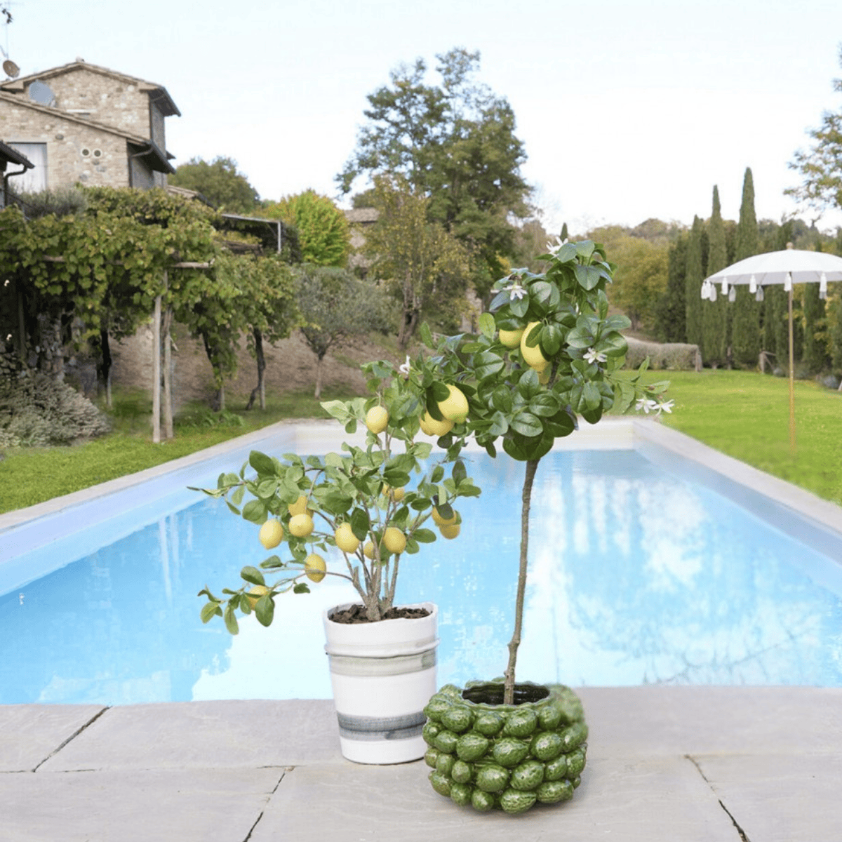 Artificial branch - Lemon