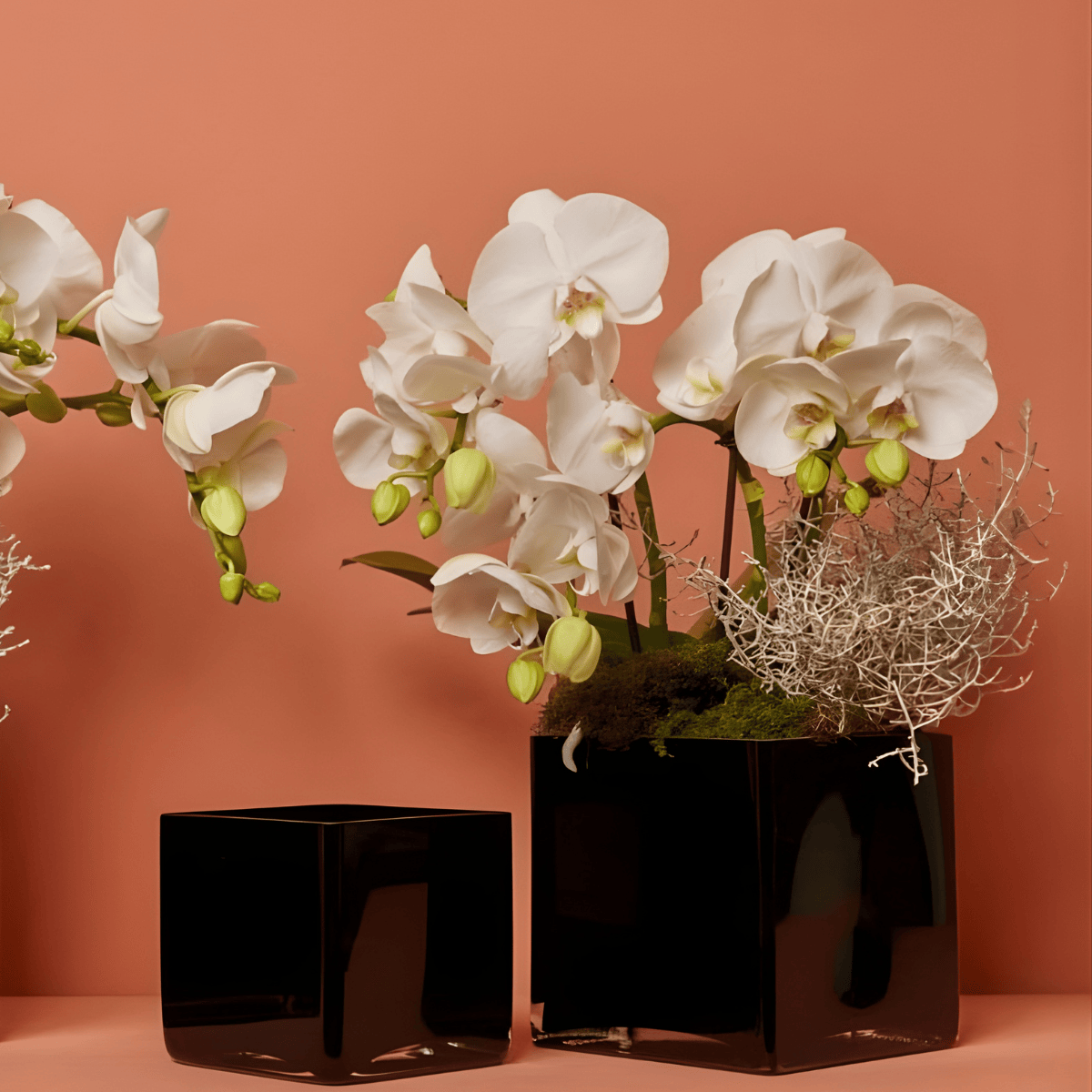Vase Cube