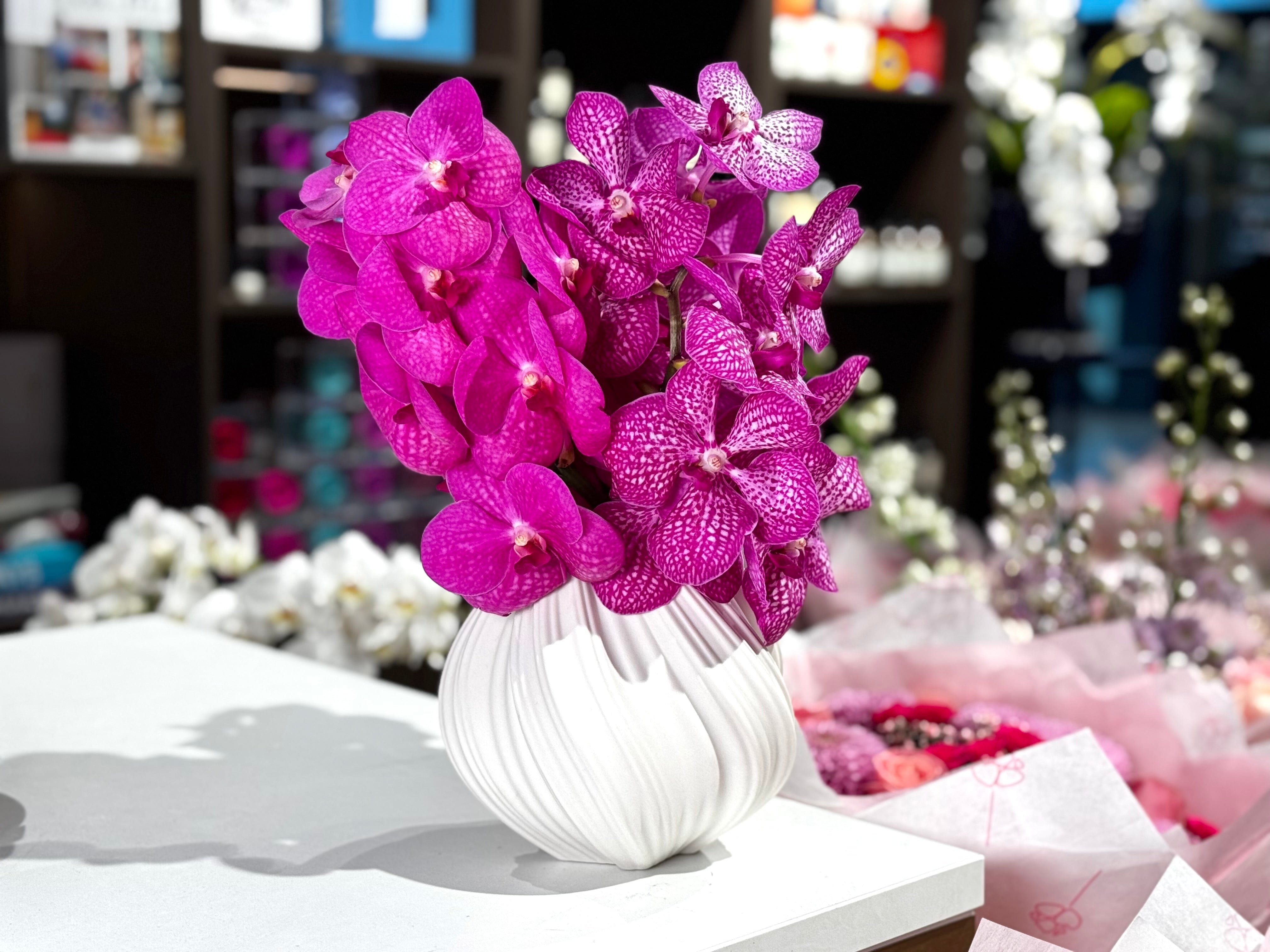 Vanda Mix Orchidee - Inclusief vaas