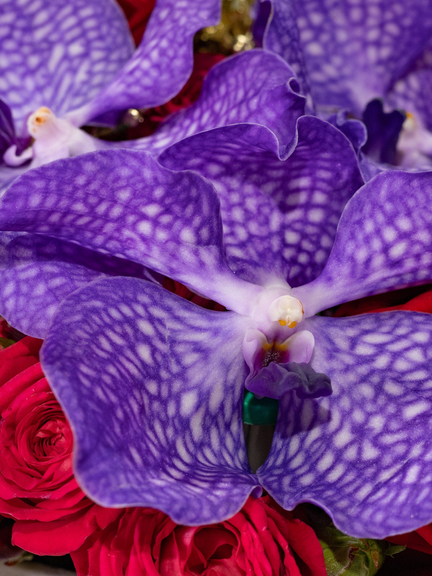 Blossom Box - Festive Couture