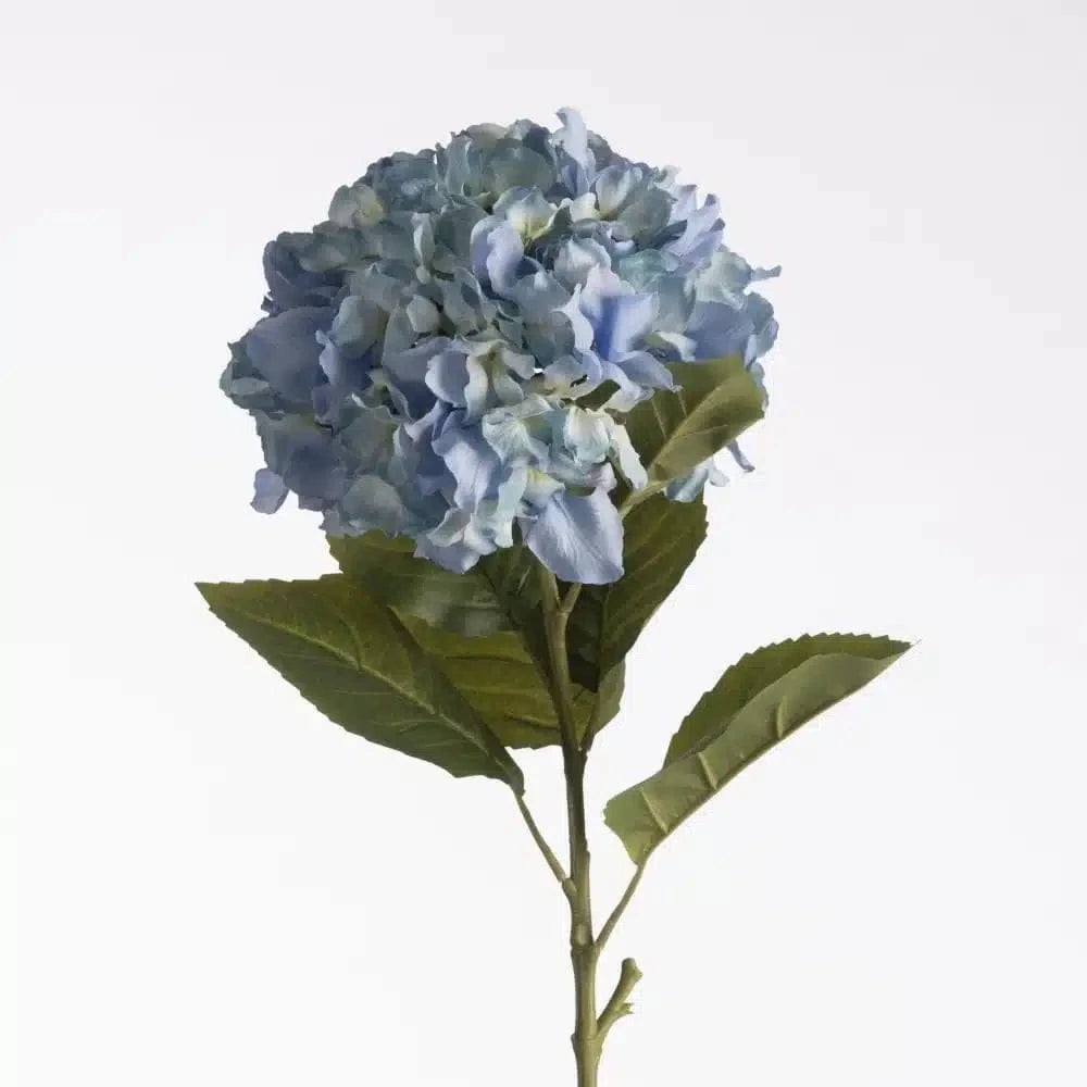 Hortensia - Light blue