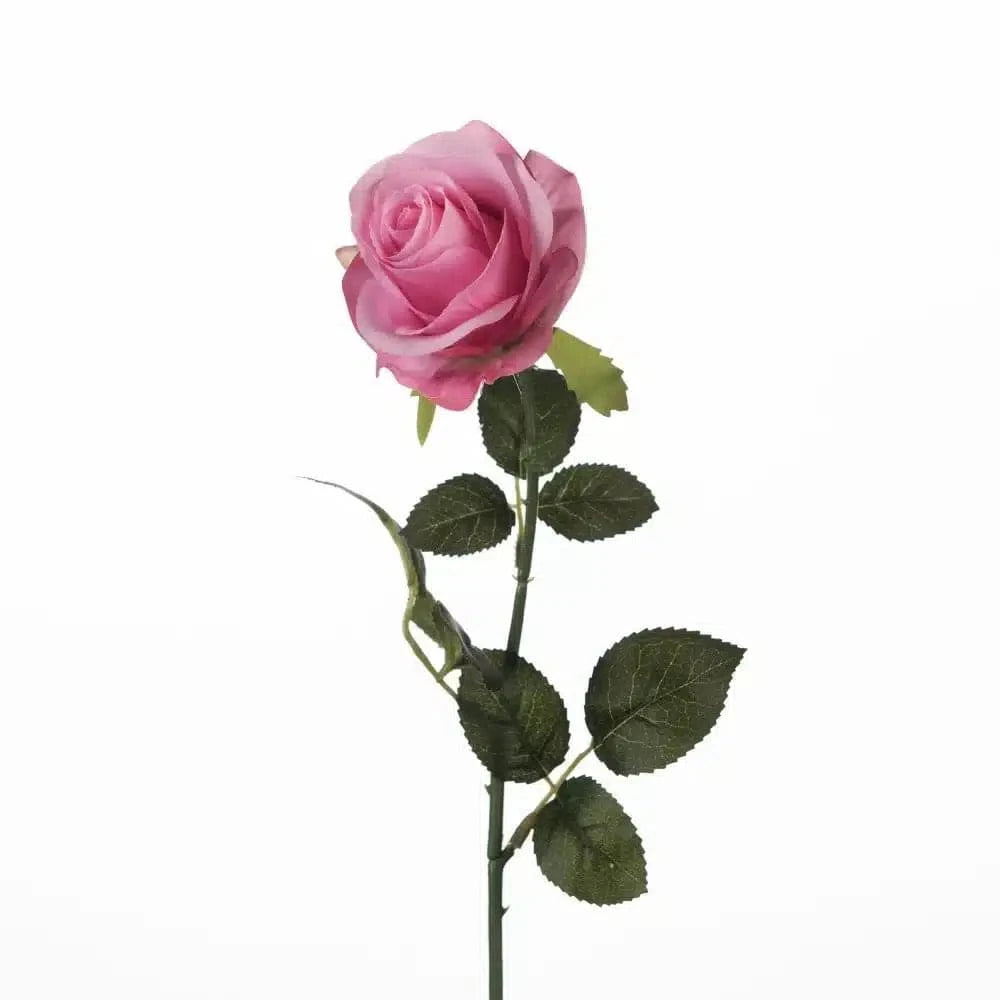 Rose - Pink