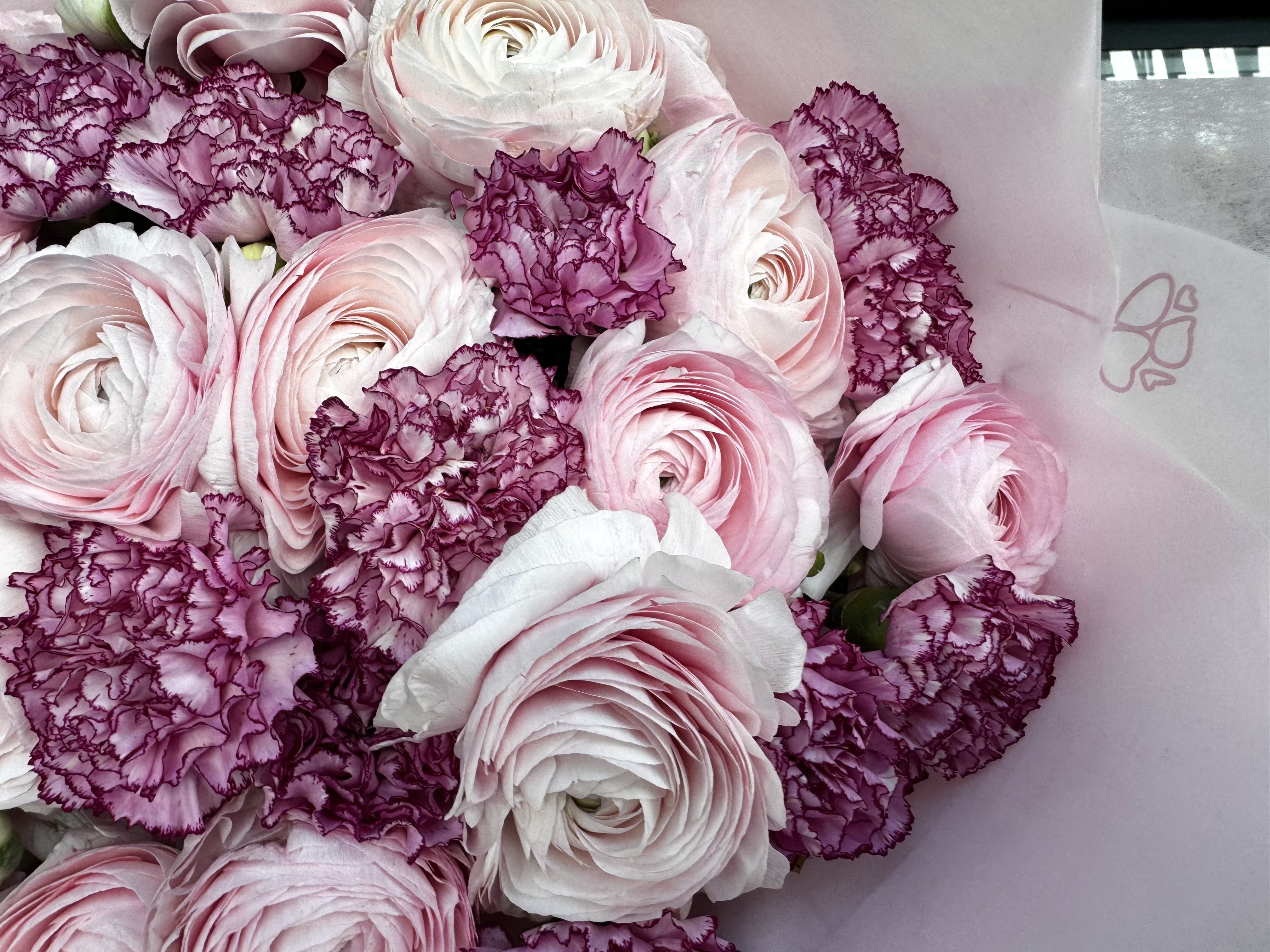 Girly Girl Dream - TikTok Favorites