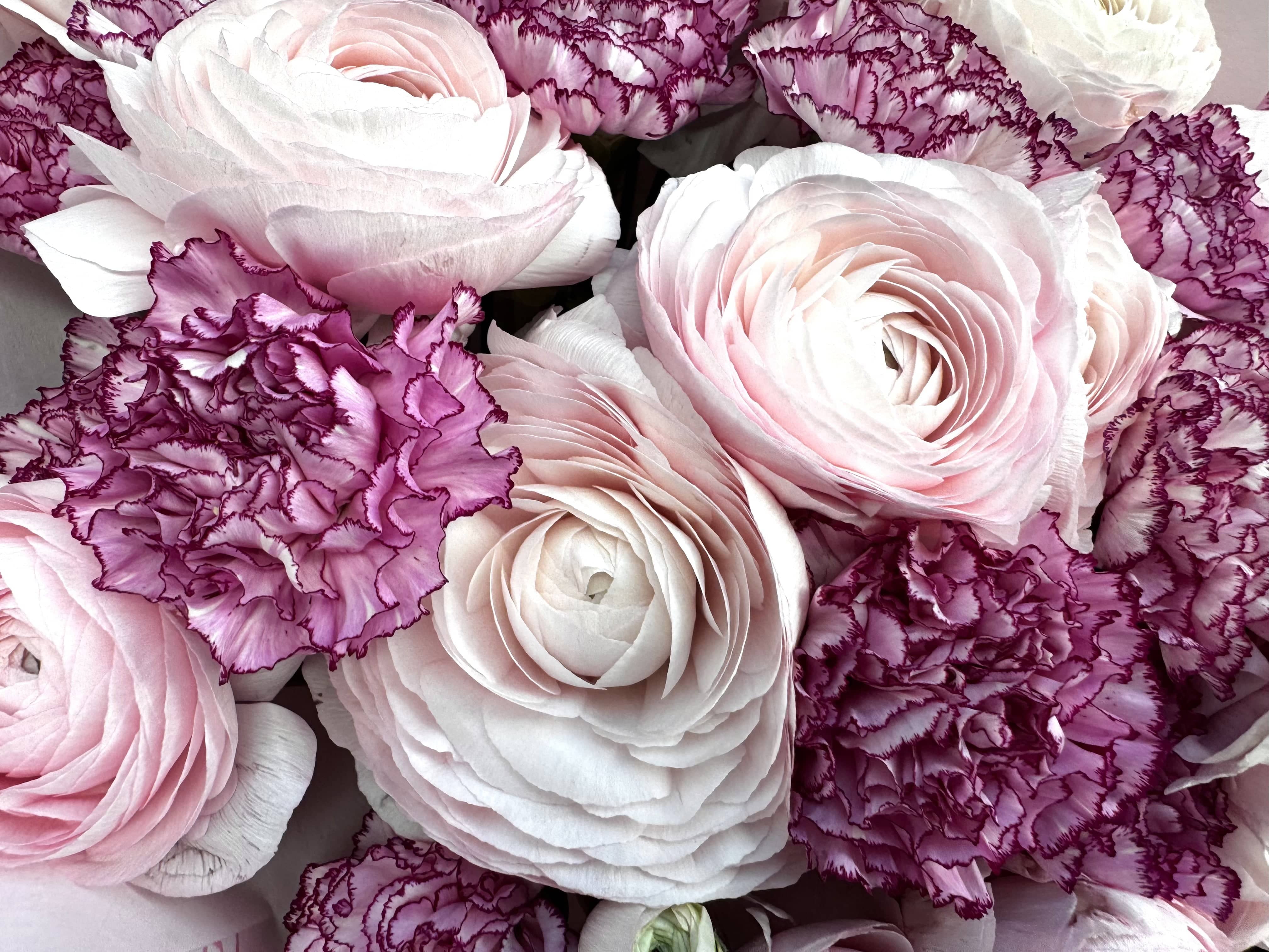 Girly Girl Dream - TikTok Favorites