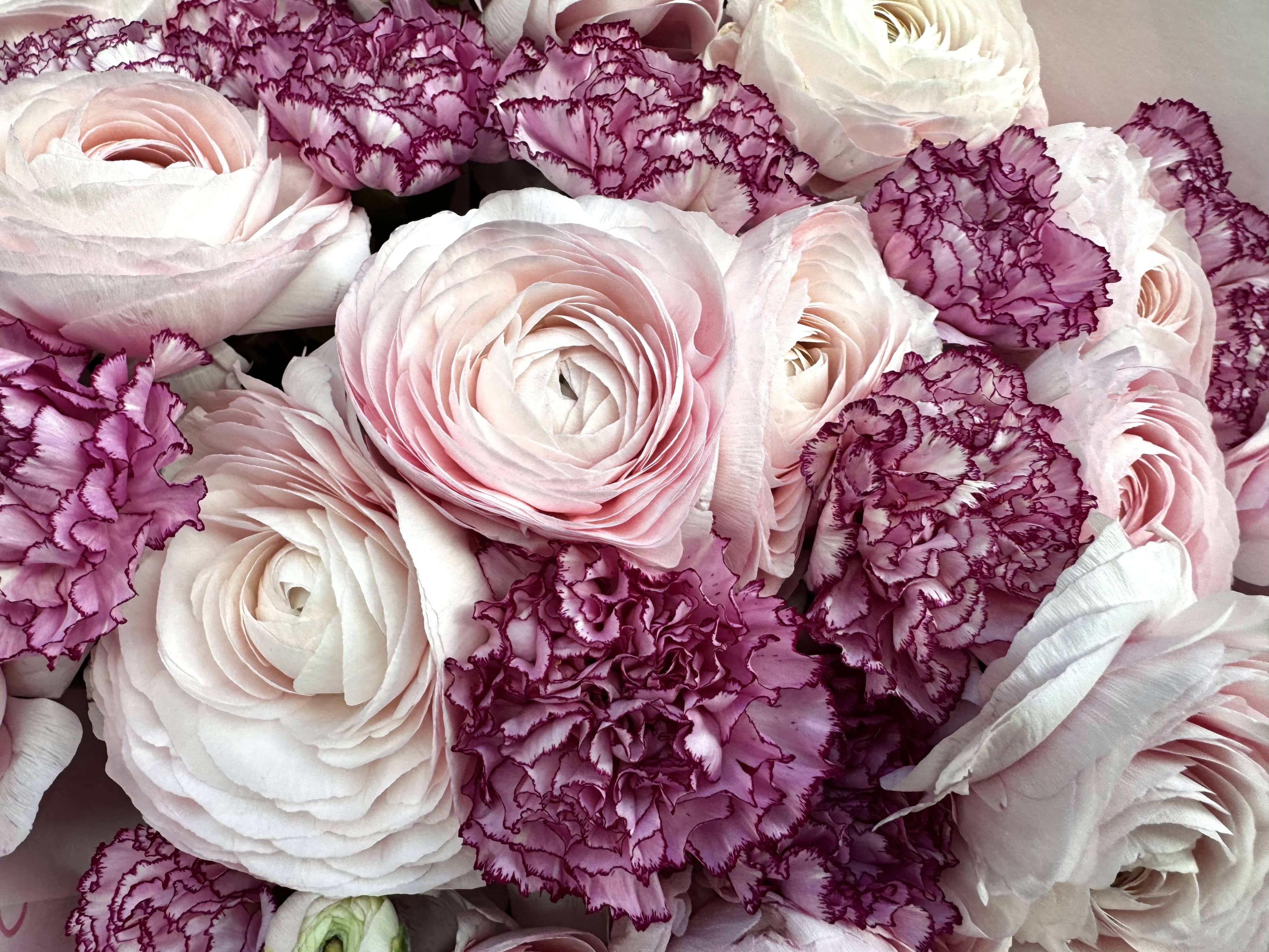 Girly Girl Dream - TikTok Favorites