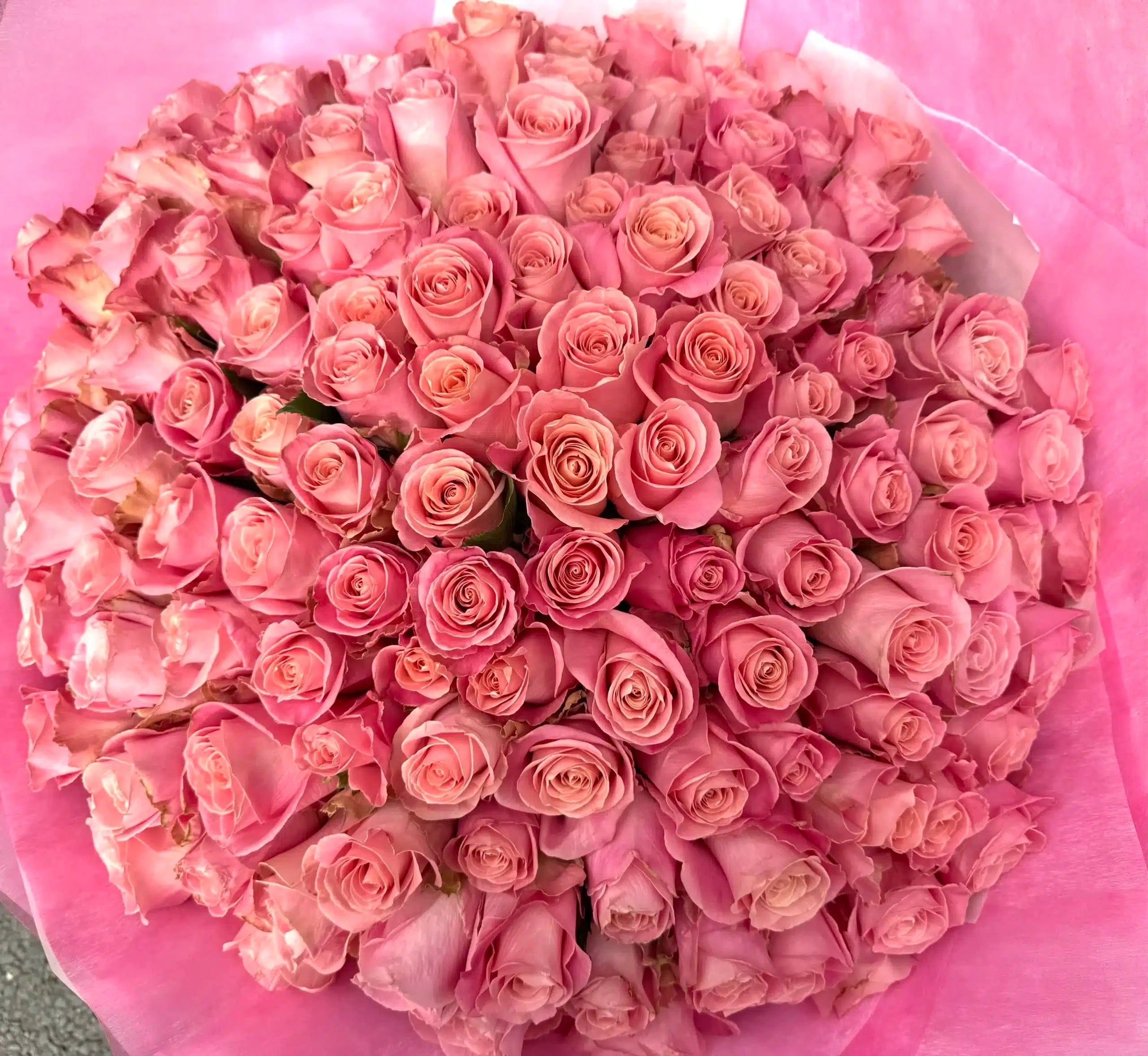 100 Pink Roses - Hermosa