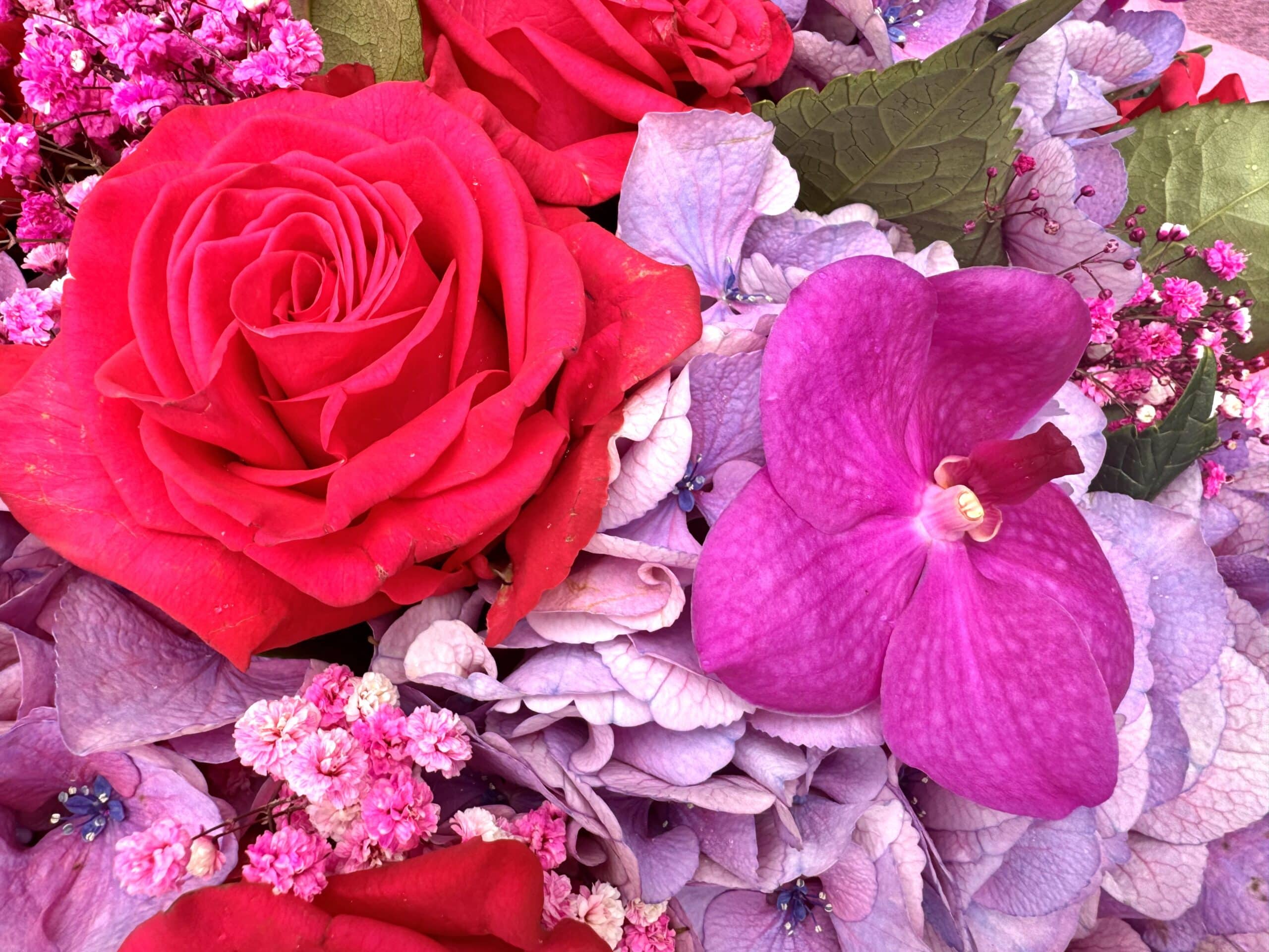 Dreamy Violet Bouquet - TikTok Favorites