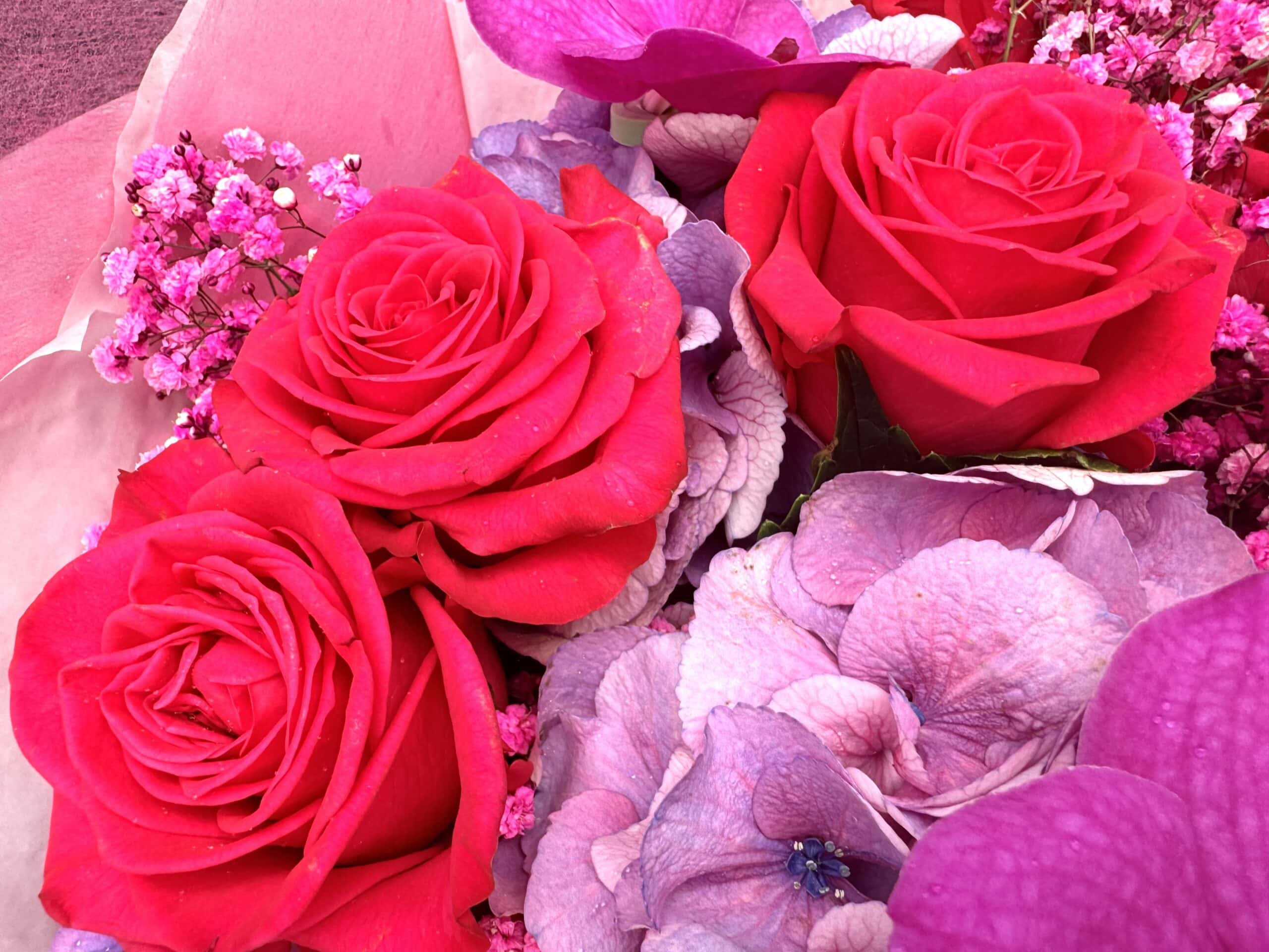 Dreamy Violet Bouquet - TikTok Favorites