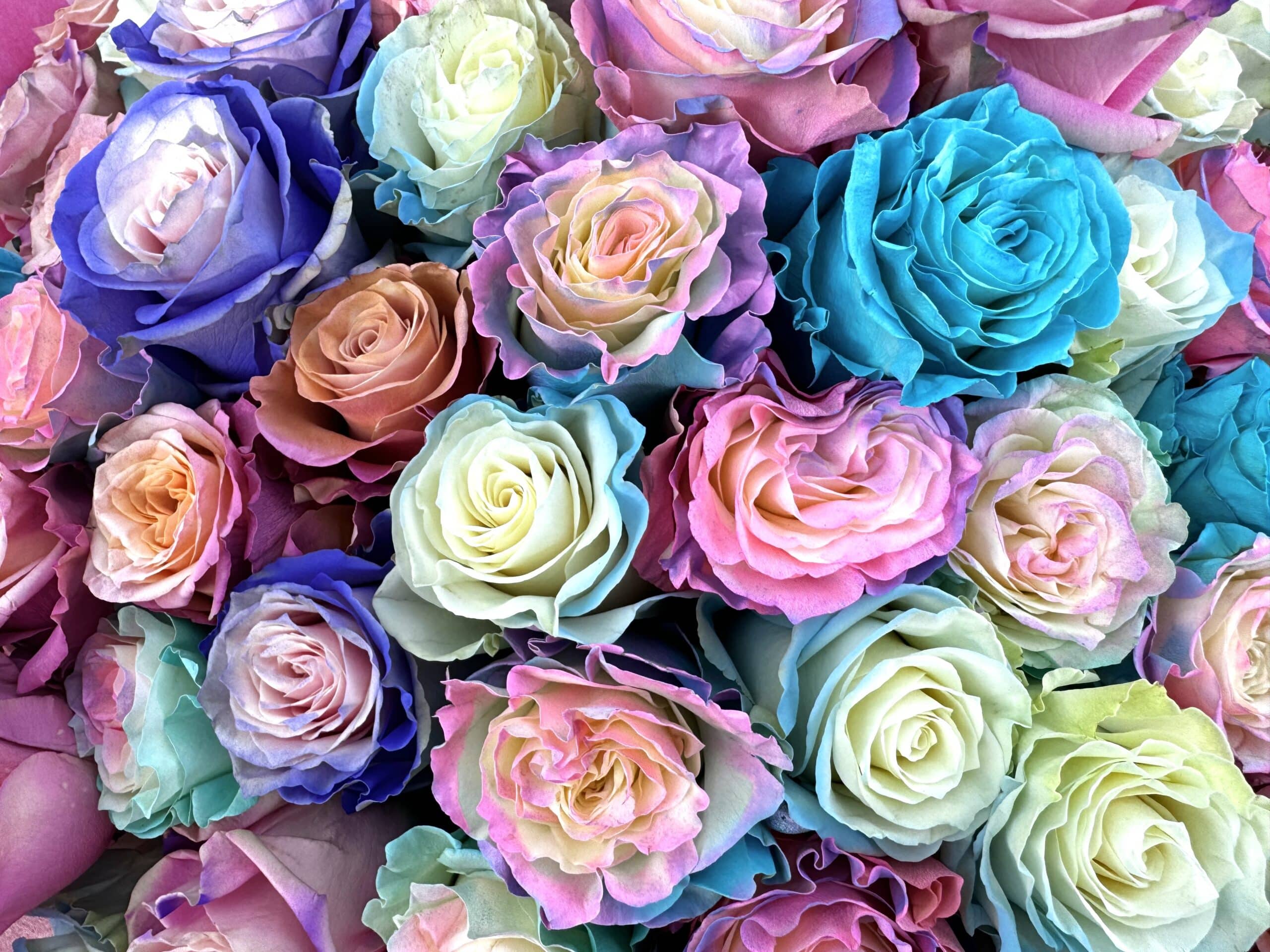 Fairytale Flower Dream