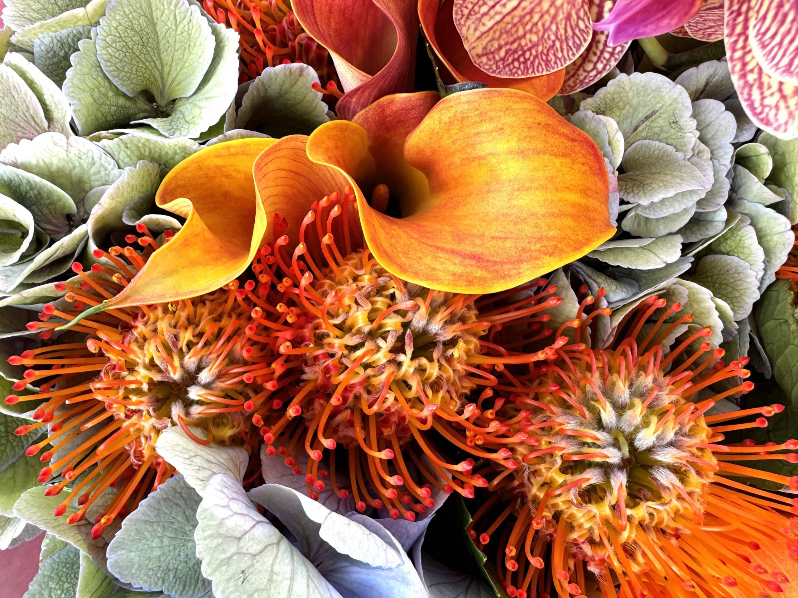 Pumpkin Spice - TikTok Favorites