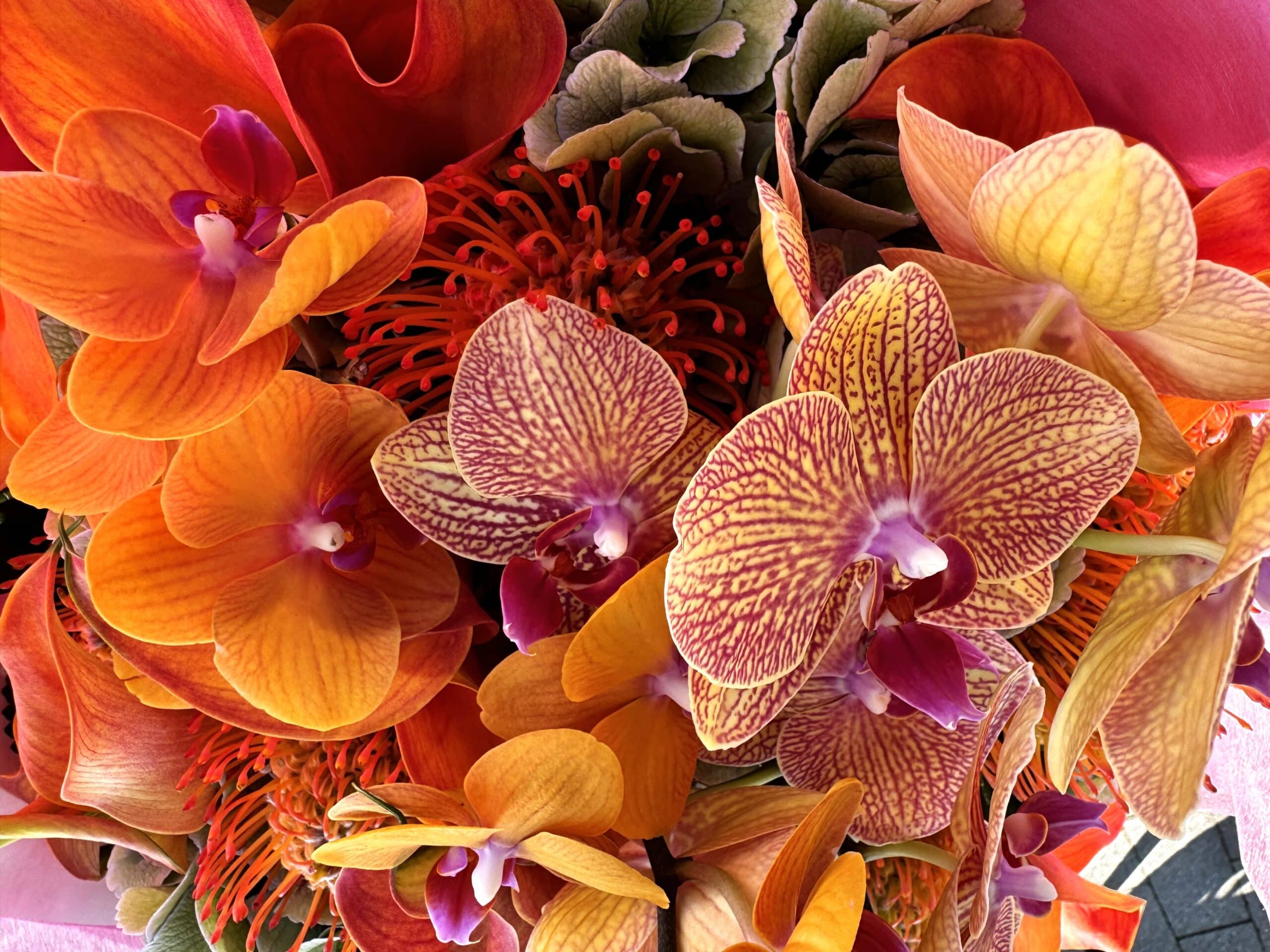 Pumpkin Spice - TikTok Favorites