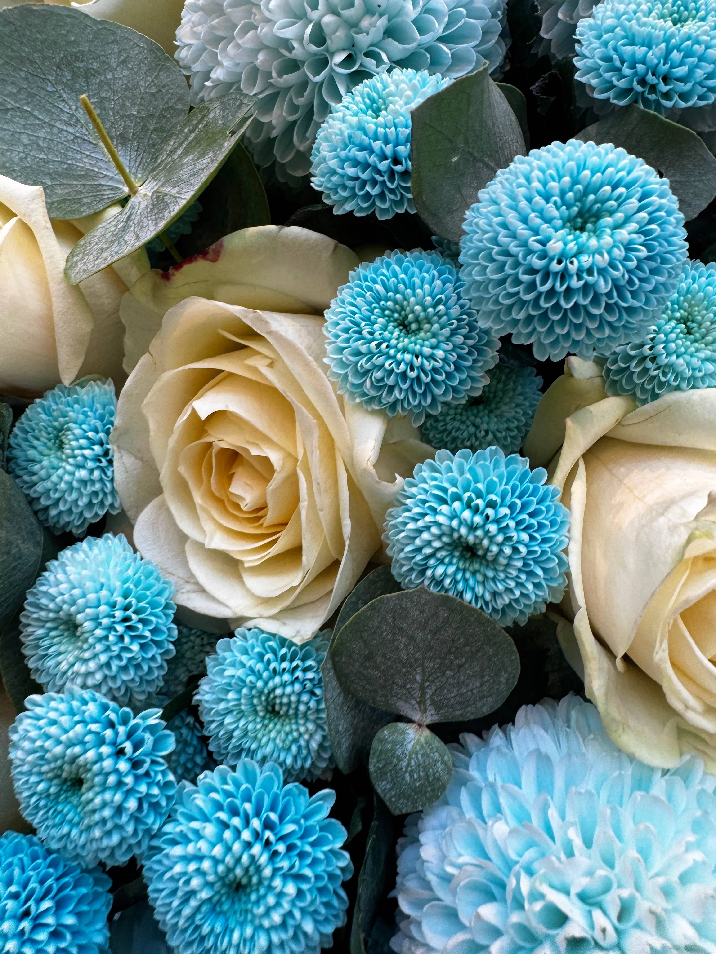 Frozen Fairytale Flowers - TikTok Favorites