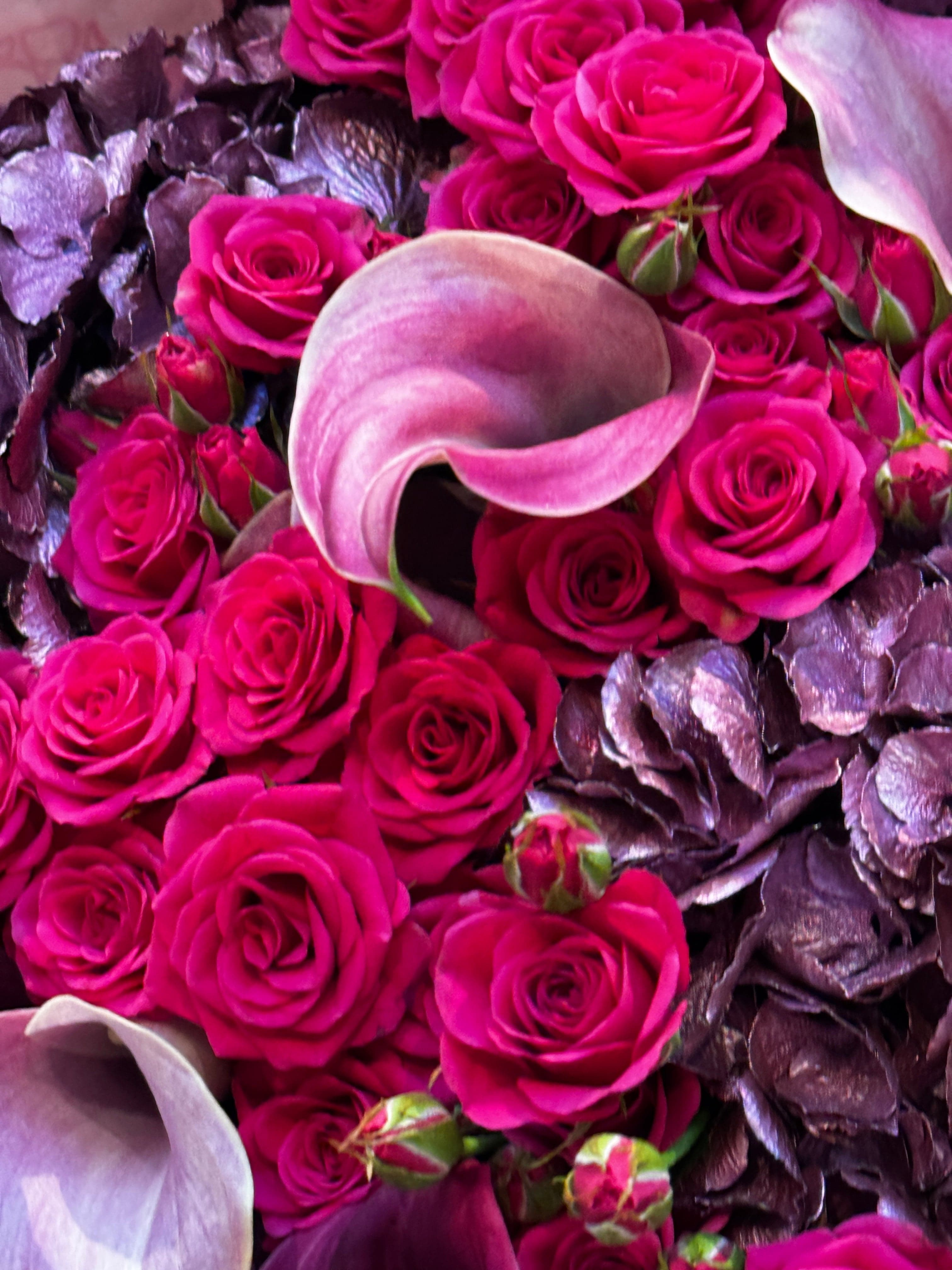 Festive Fireworks Berry - TikTok Favorites