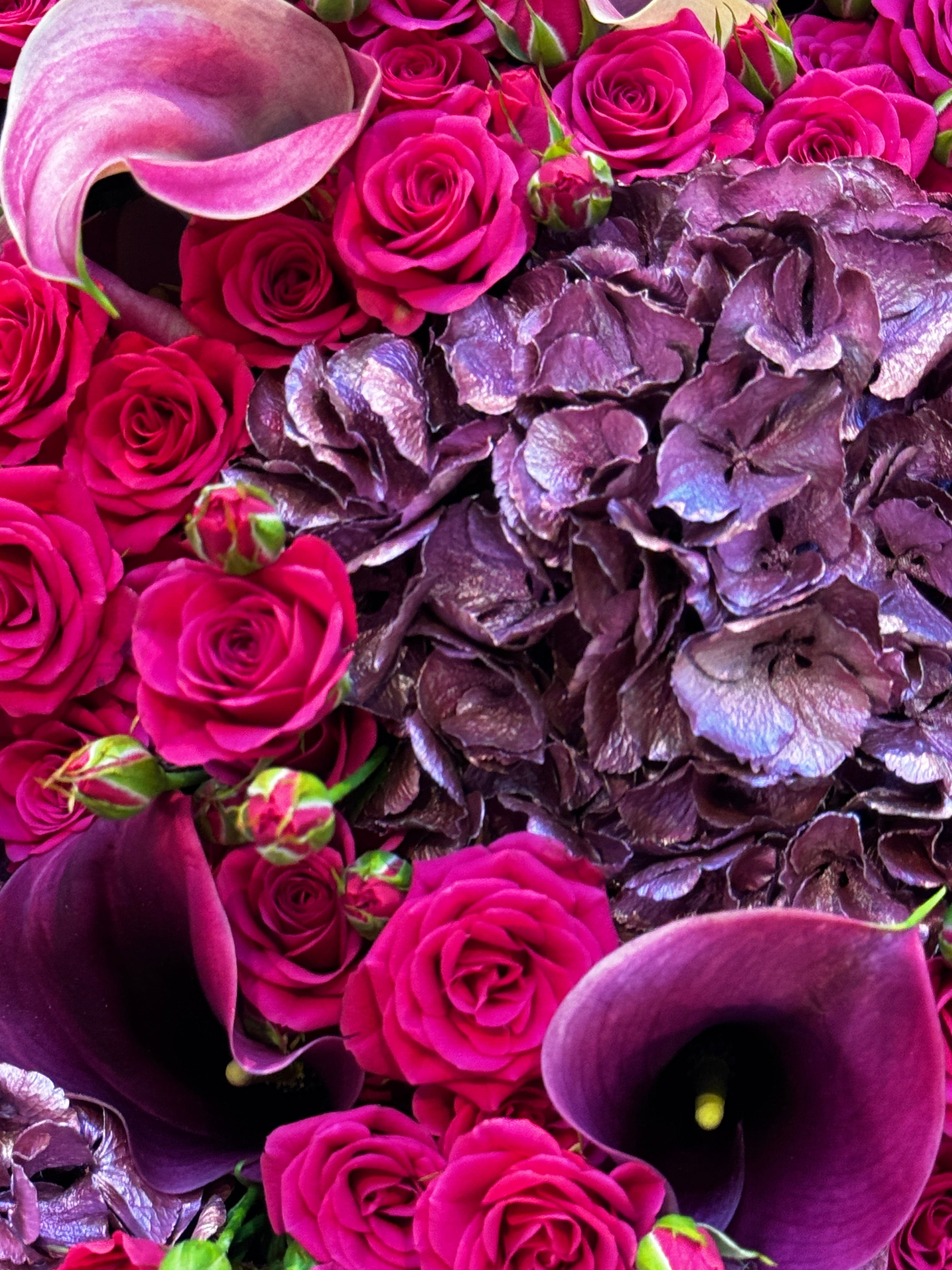 Festive Fireworks Berry - TikTok Favorites