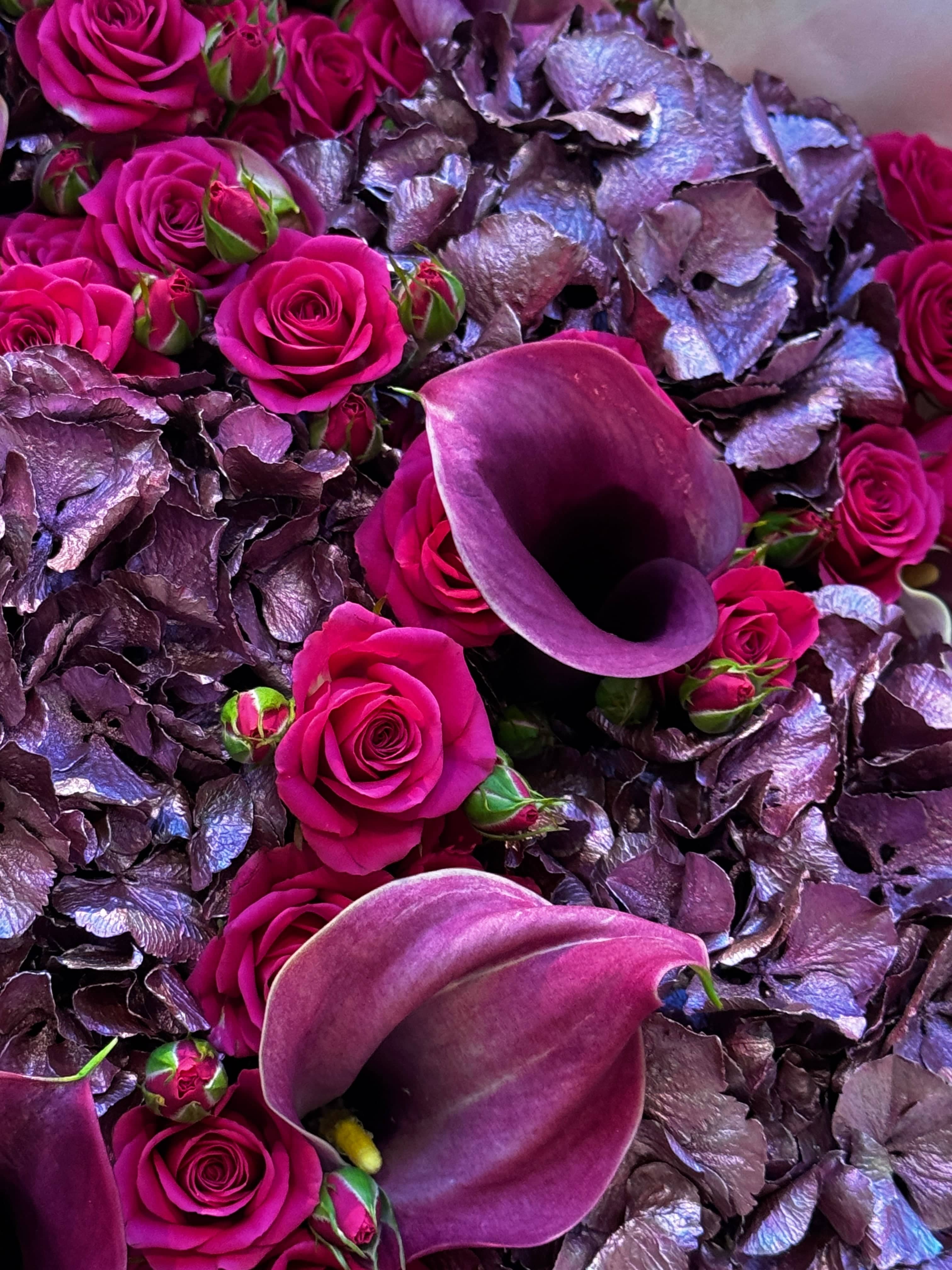 Festive Fireworks Berry - TikTok Favorites