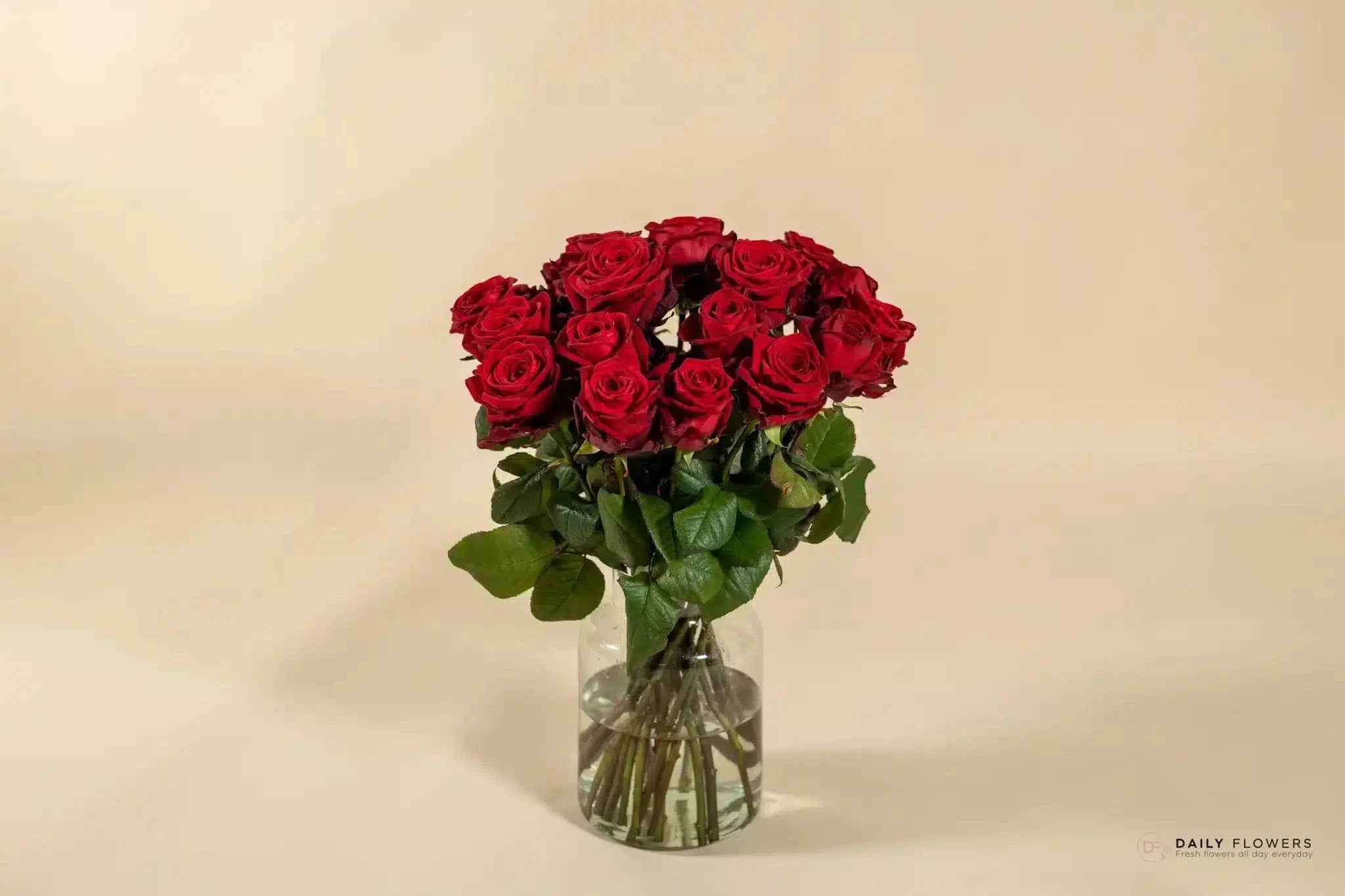 Red roses 24
