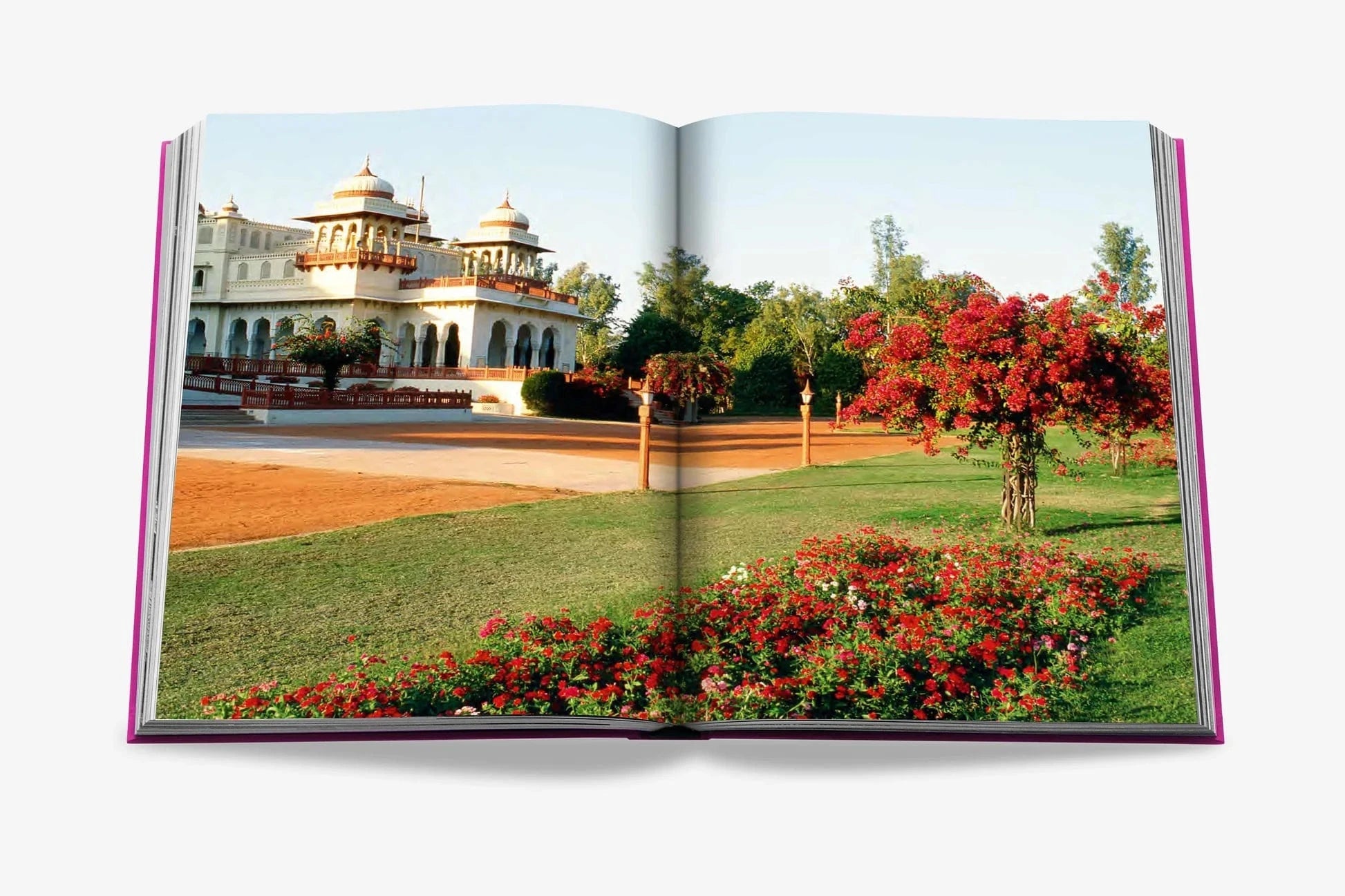 Assouline koffietafelboek - Jaipur Splendor
