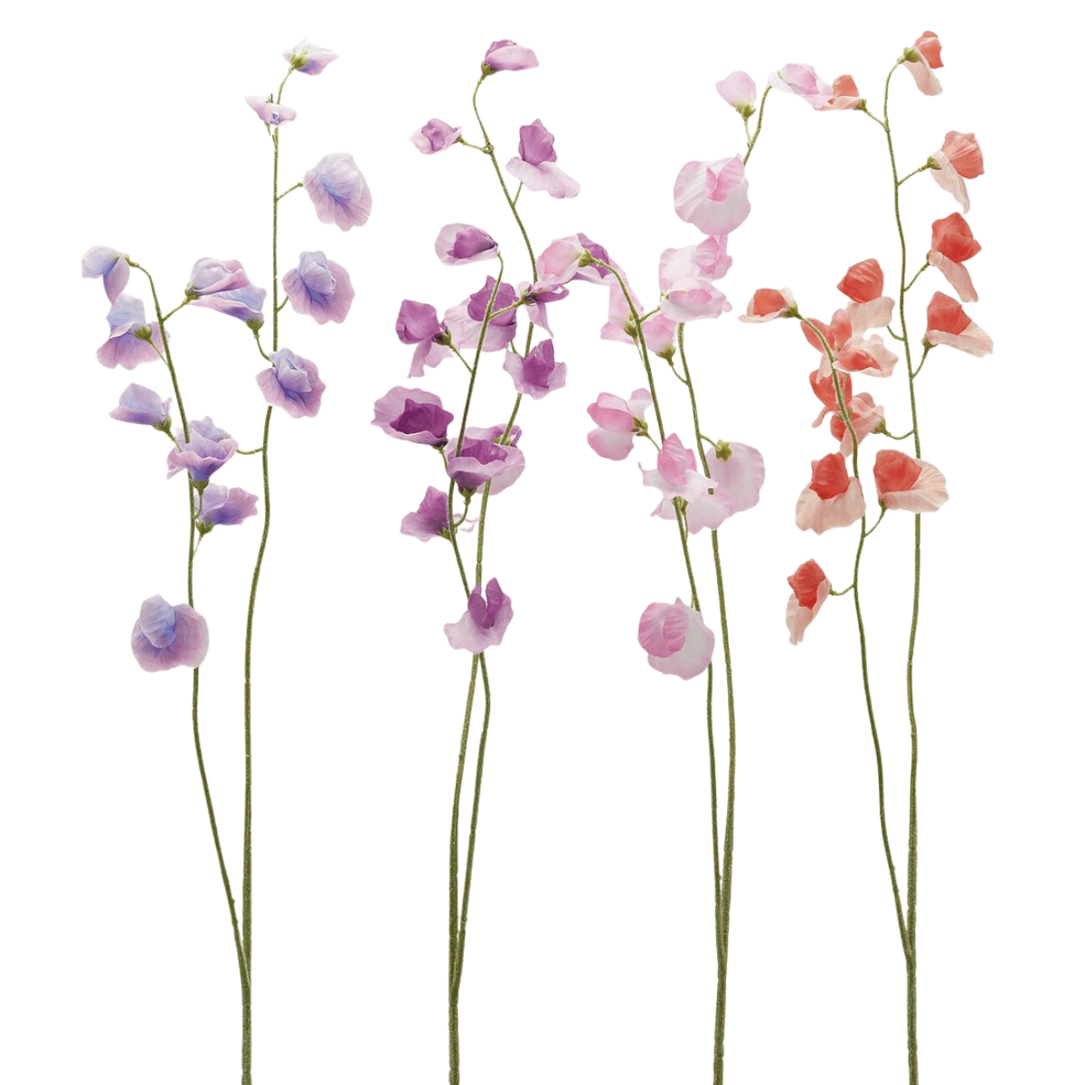 Artificial sweet pea