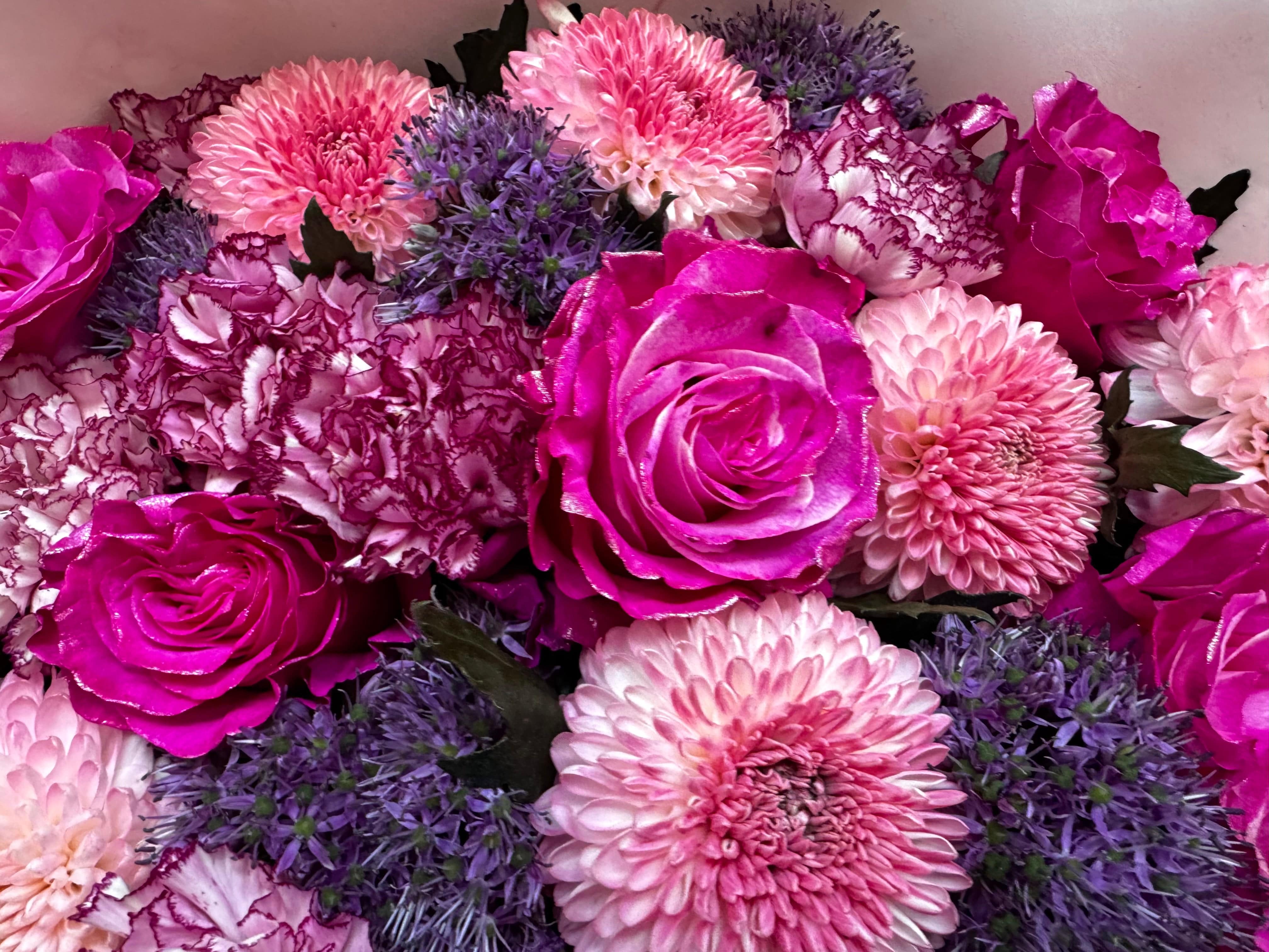 Lipstick Luxe - TikTok Favorites