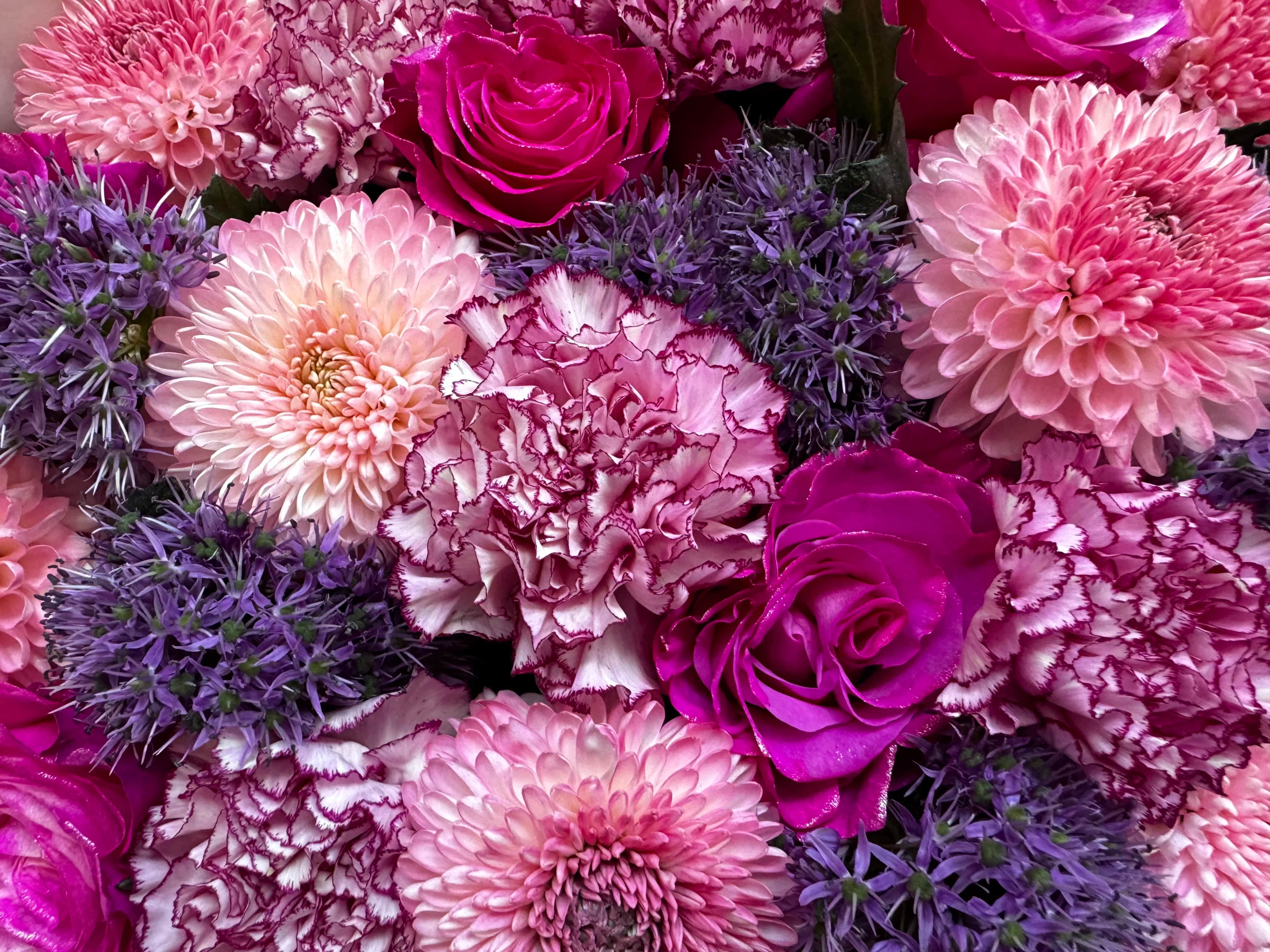 Lipstick Luxe - TikTok Favorites