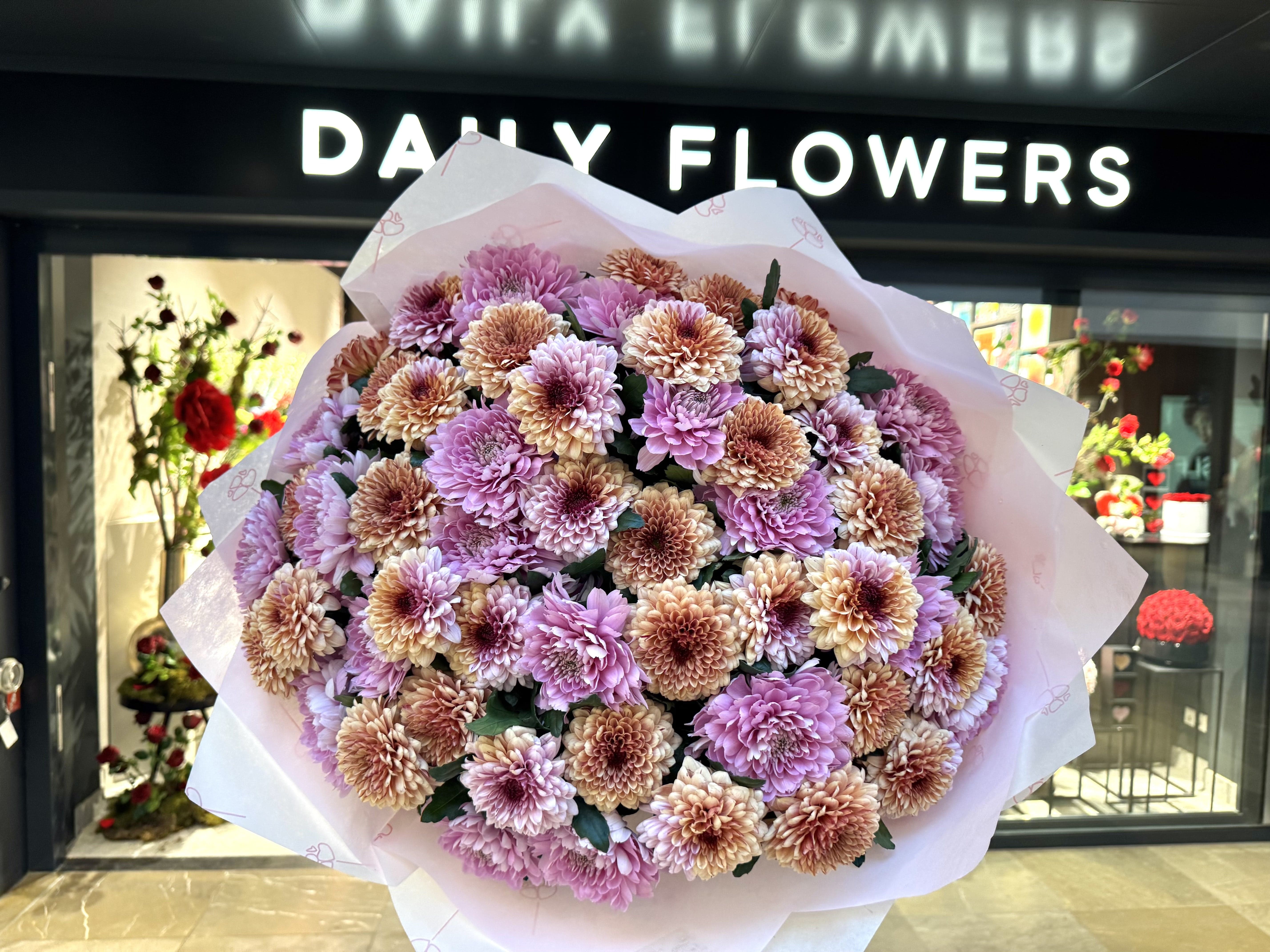 Magical Chrysanthemum Dream - TikTok Favorites