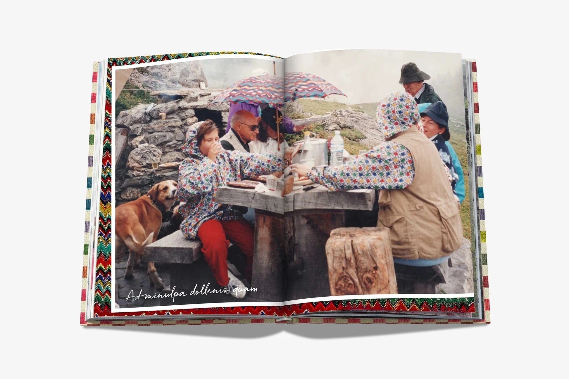 Assouline - The Missoni Family Cookbook