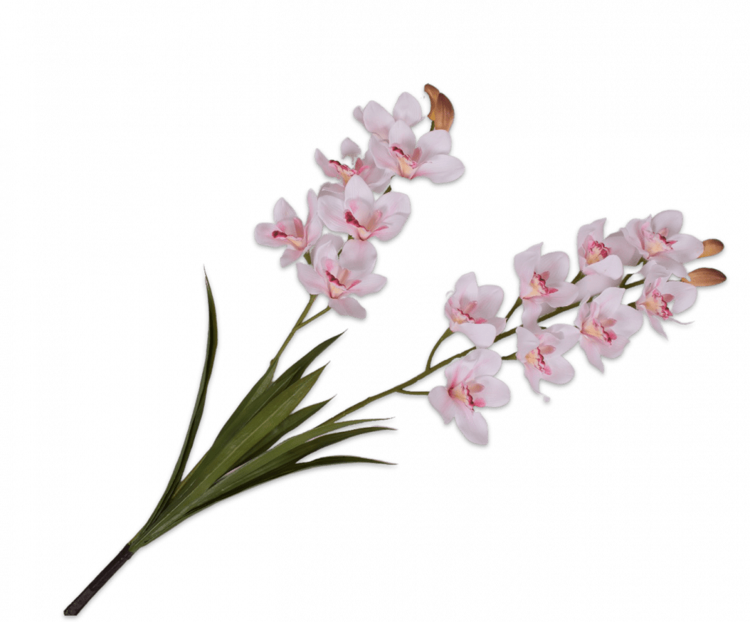 Zijde Orchidee Cymbidium blad - Roze